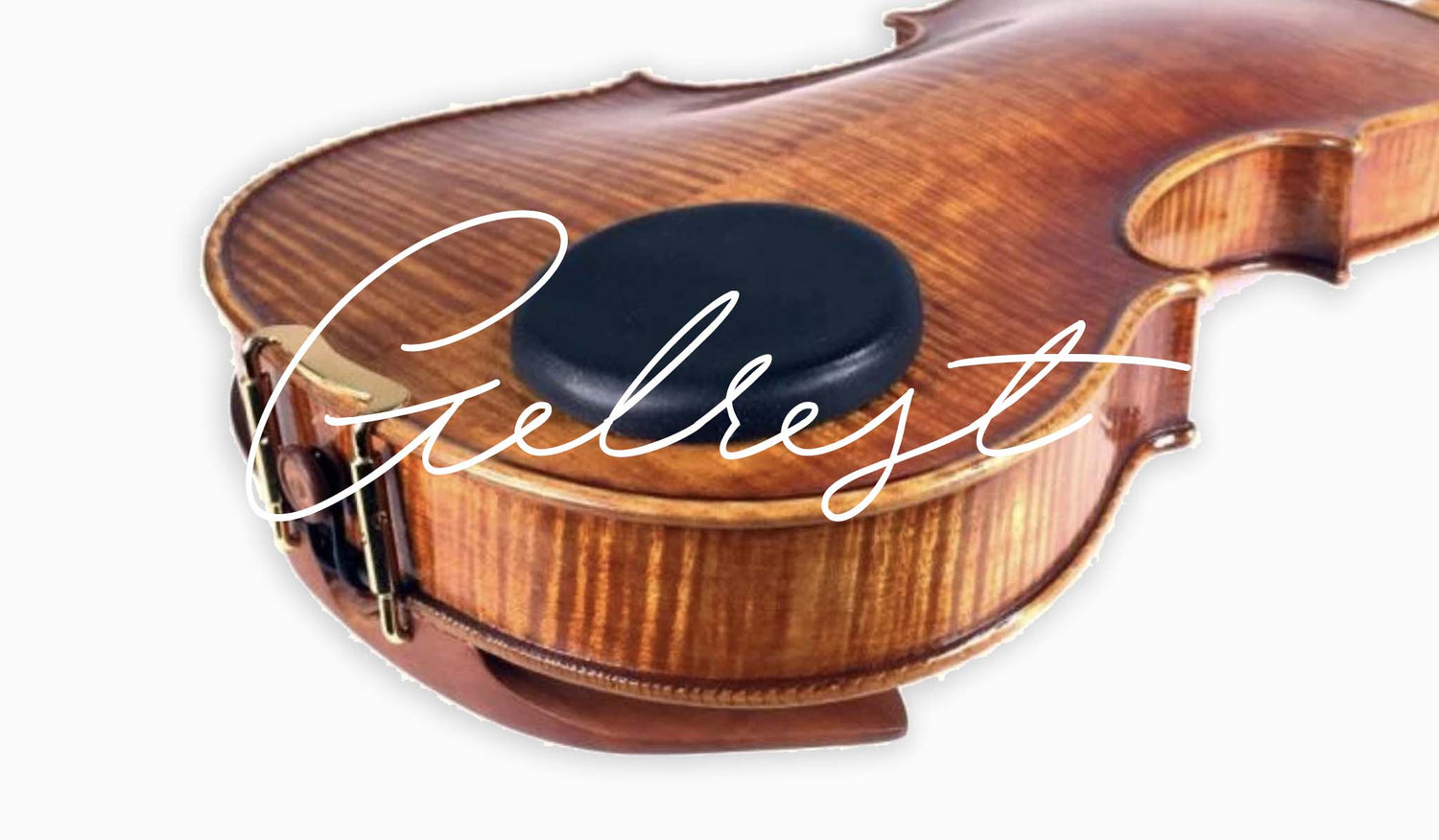 Product Spotlight: Gelrest