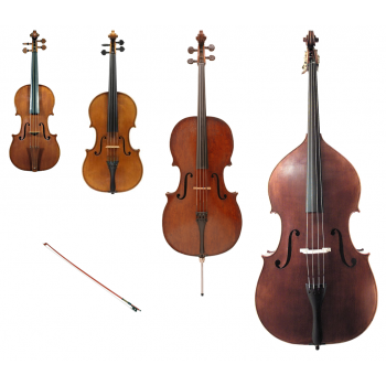 Should Learn Violin, Viola, Cello, or Double Bass?