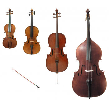 Should I Learn Violin Viola Cello or Double Bass