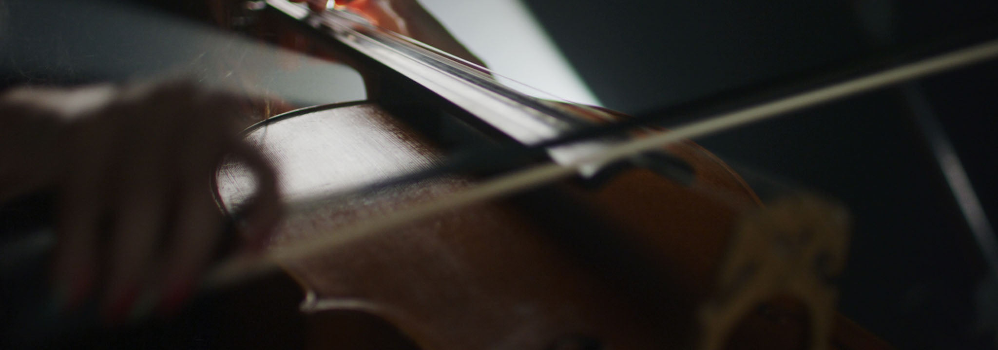 Cello Bows