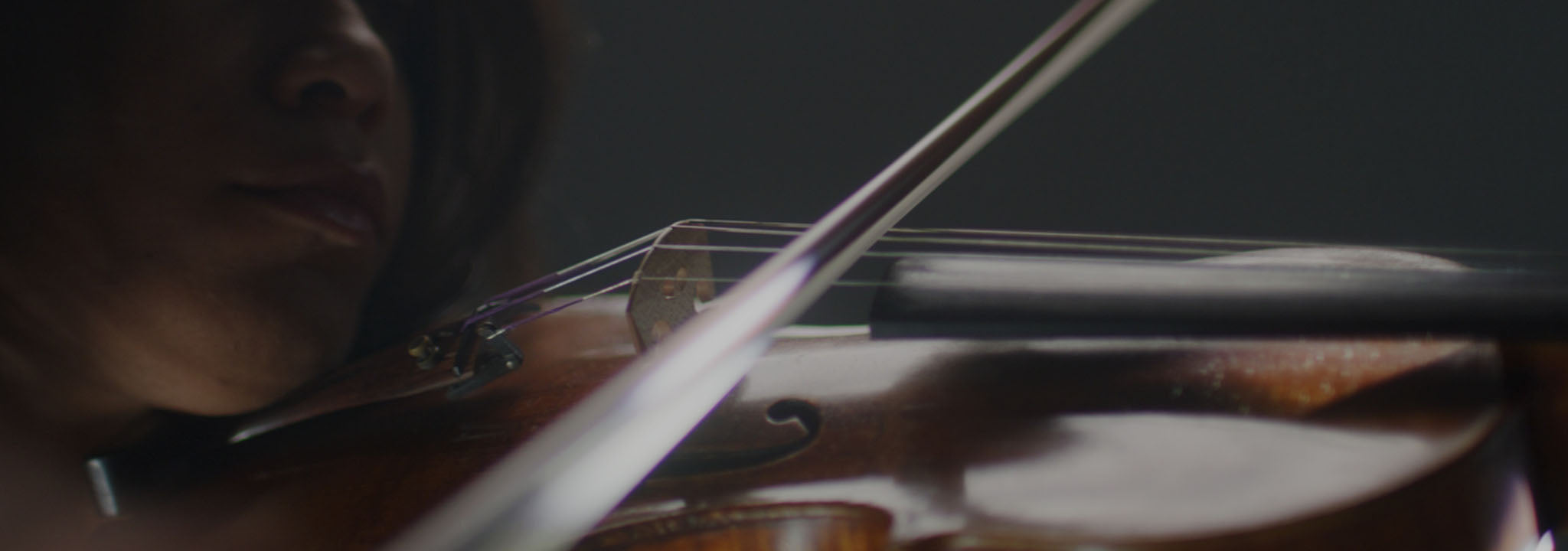 tøj elite Knoglemarv Violin Bows for Sale | Fiddlershop