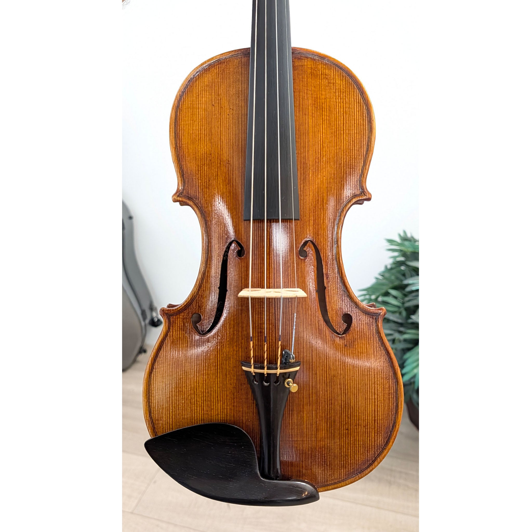 Solo Violins by Valeriu Badea Violin