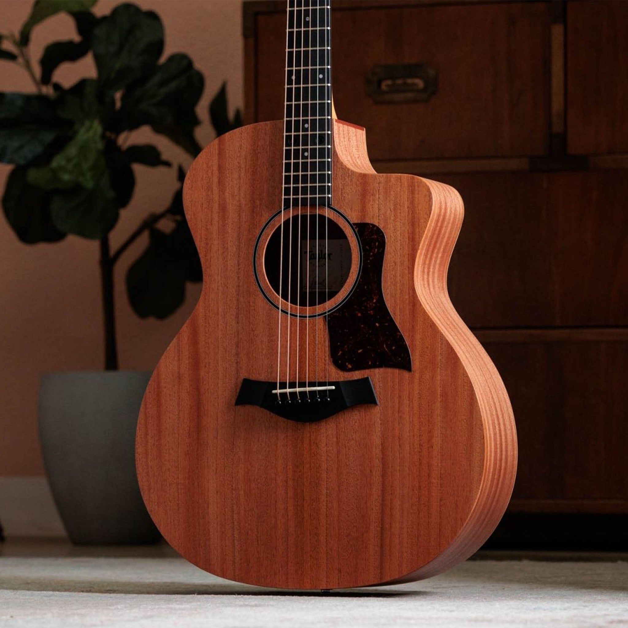 Taylor Academy 24ce Sapele & Mahogany Acoustic-Electric Guitar