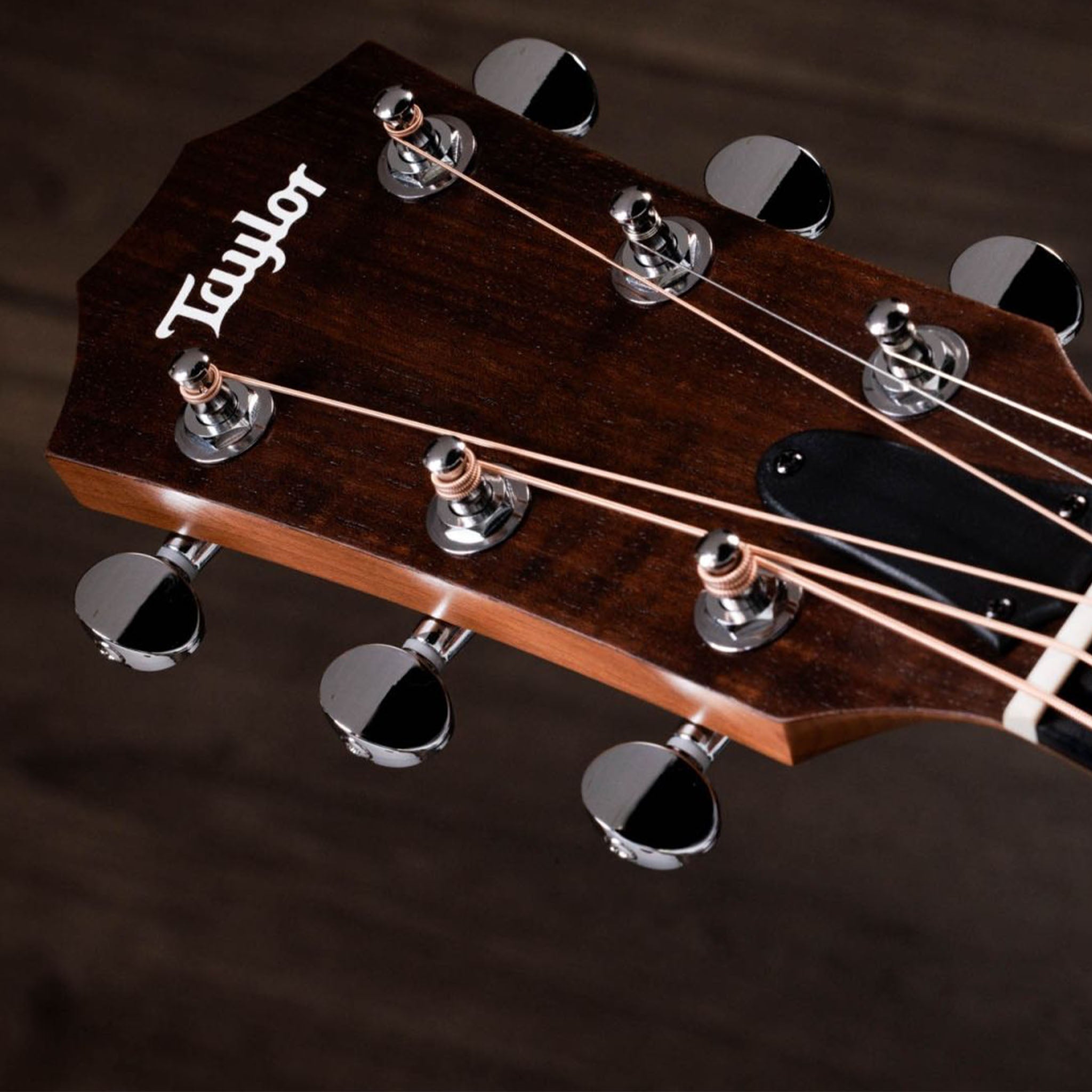 Taylor Academy 24ce Sapele & Mahogany Acoustic-Electric Guitar