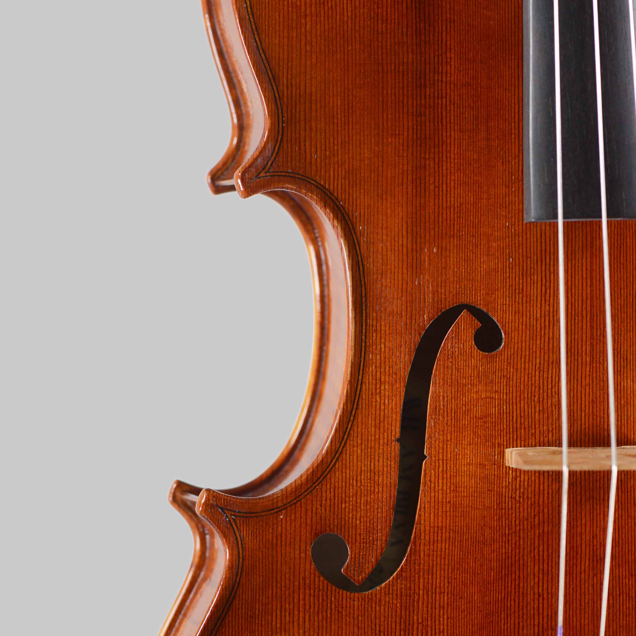A.M. Bilva, Florida 'Conte Vitale' 16.5" Viola 2024