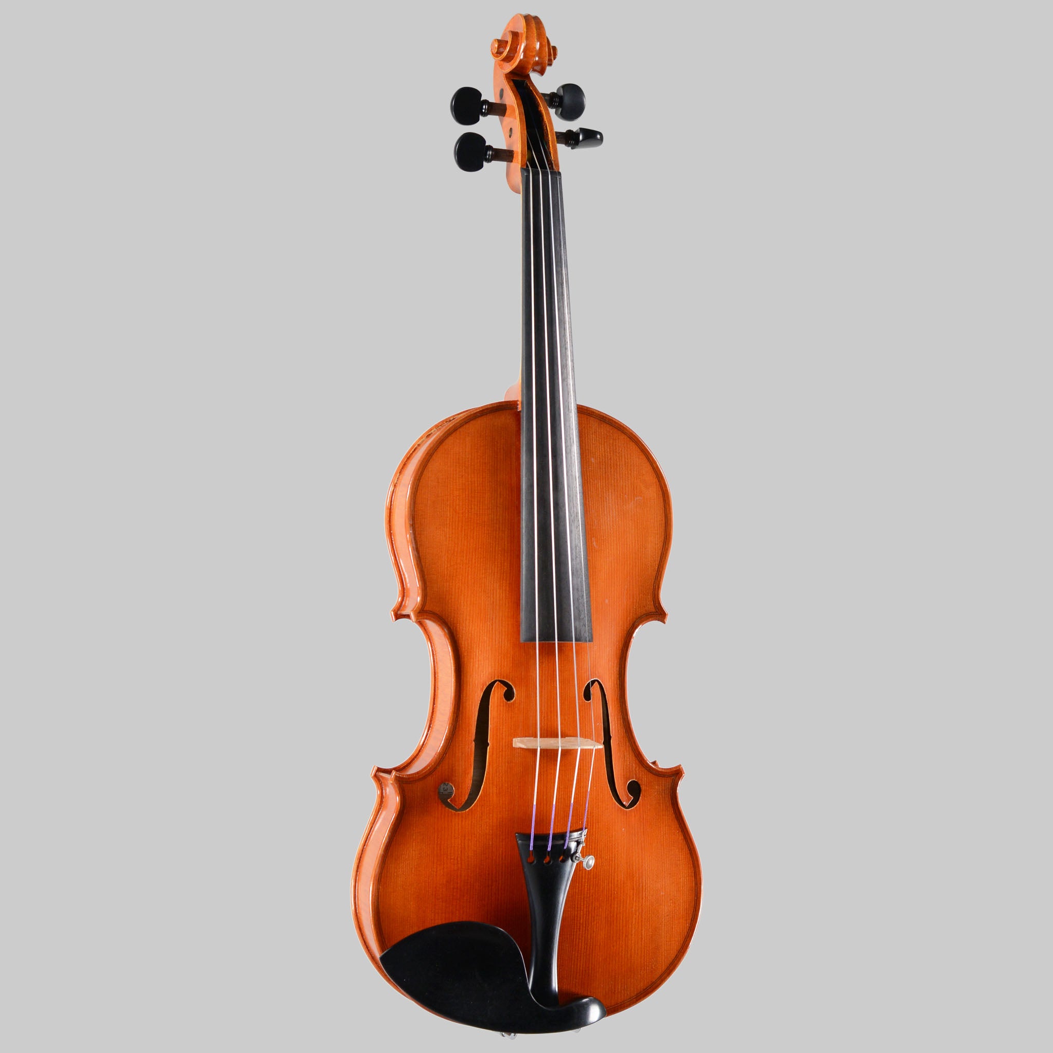 Francesco Pierotti, Cesena Italy, Violin 2023