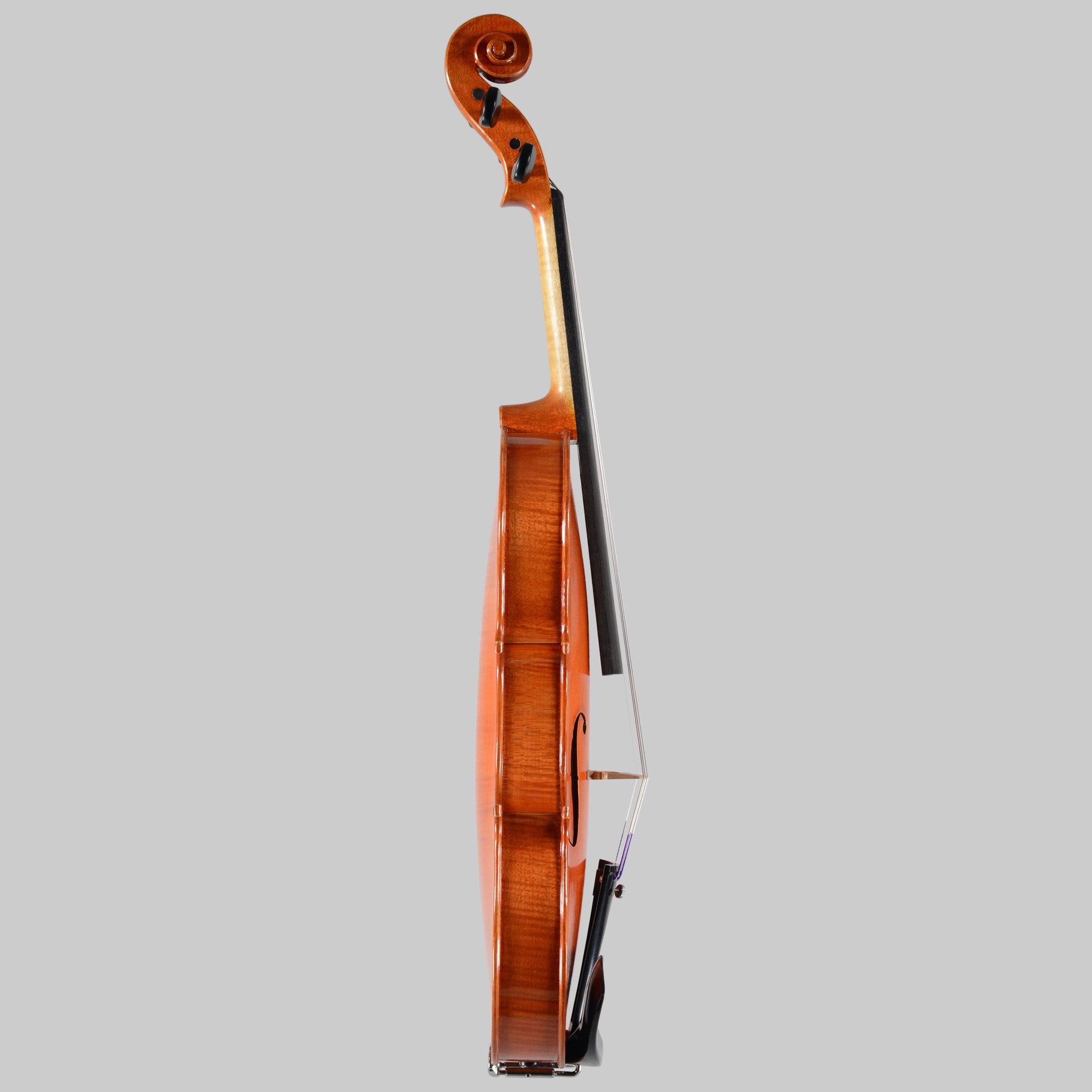 Francesco Pierotti, Cesena Italy, Violin 2023