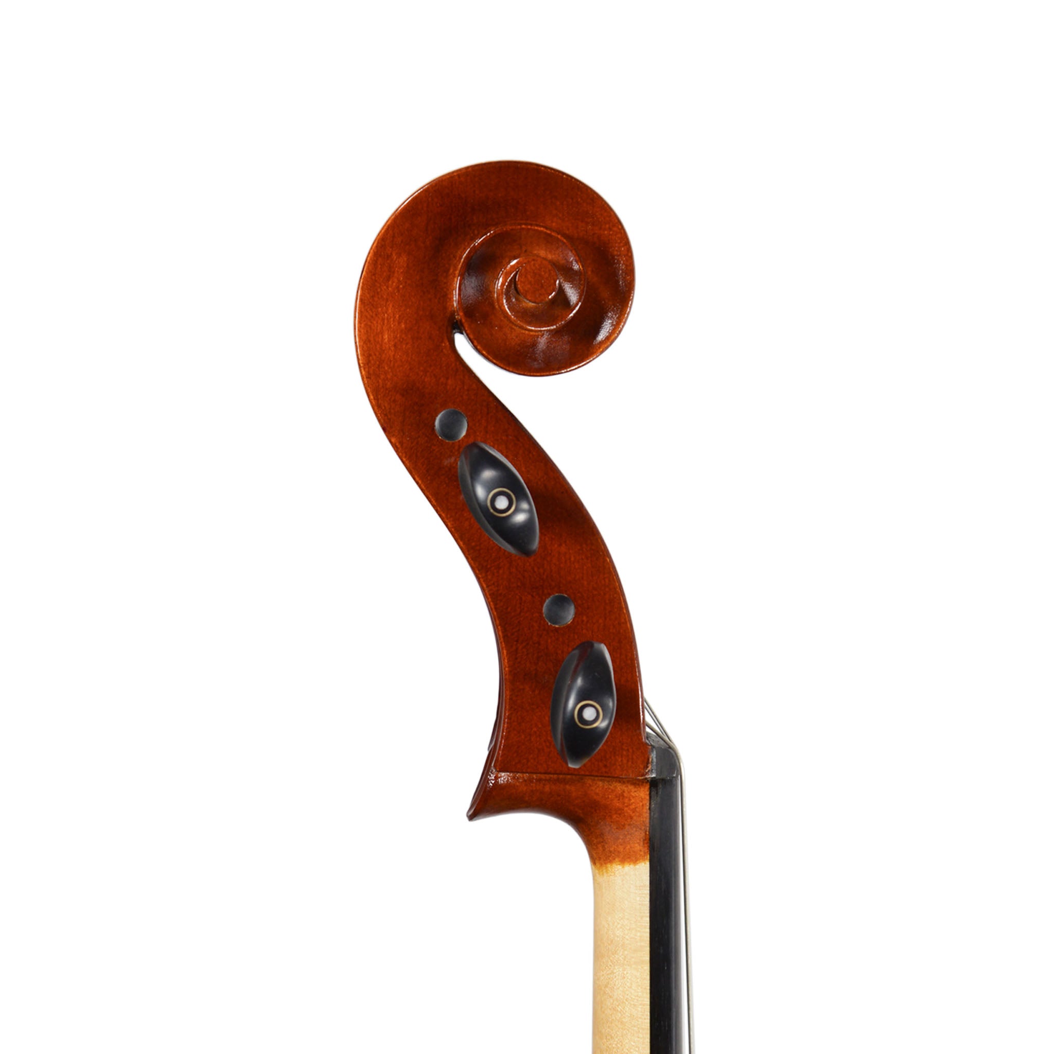 Fiddlerman Artist Cello Outfit