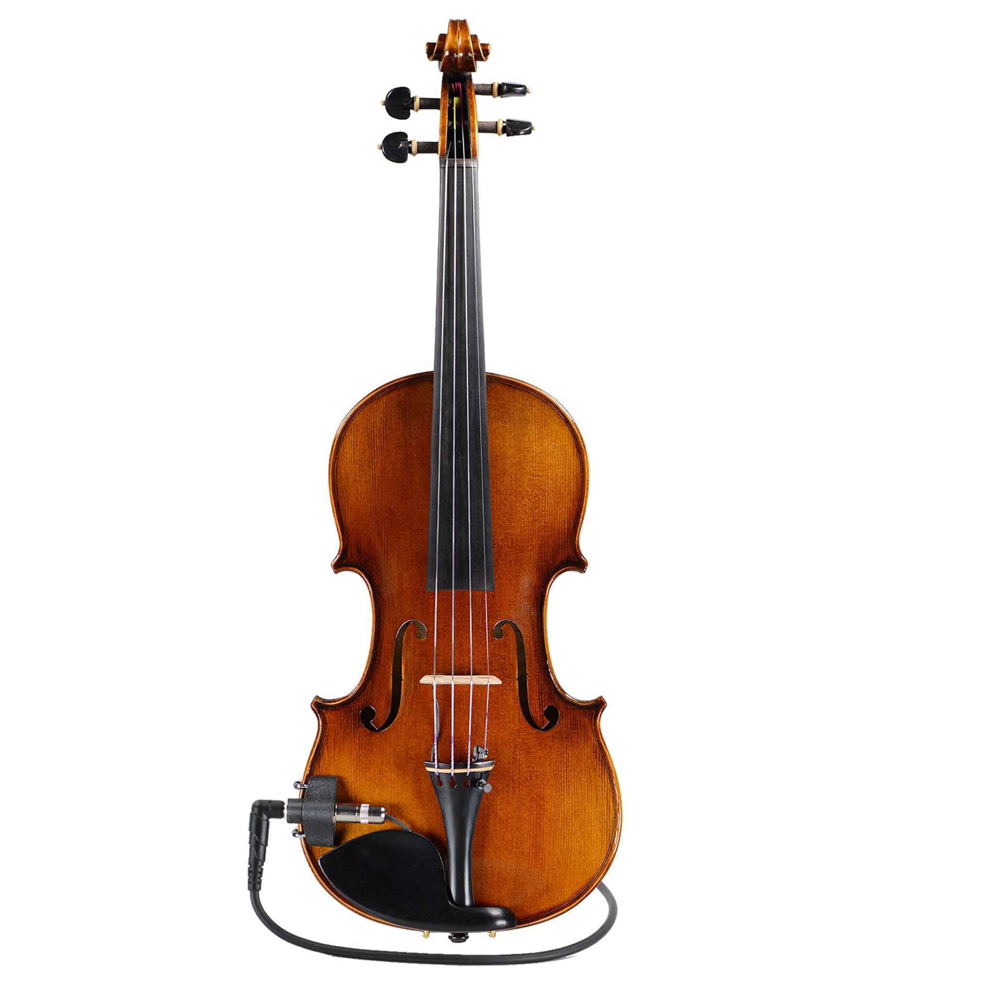 Fiddlerman Master AE Series Violin Outfit