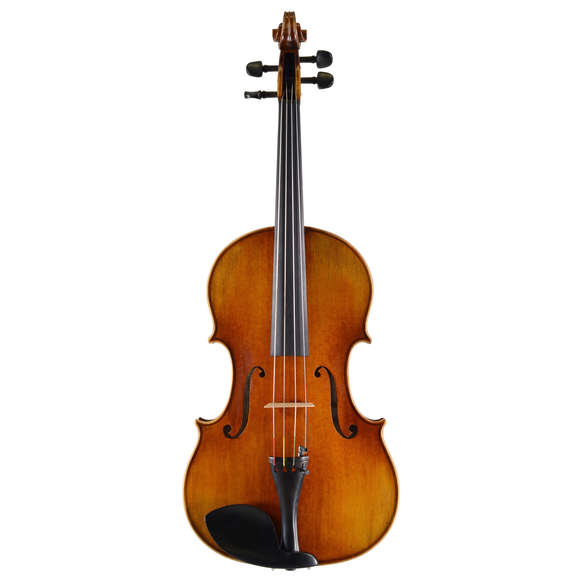 Holstein Traditional Panette Viola