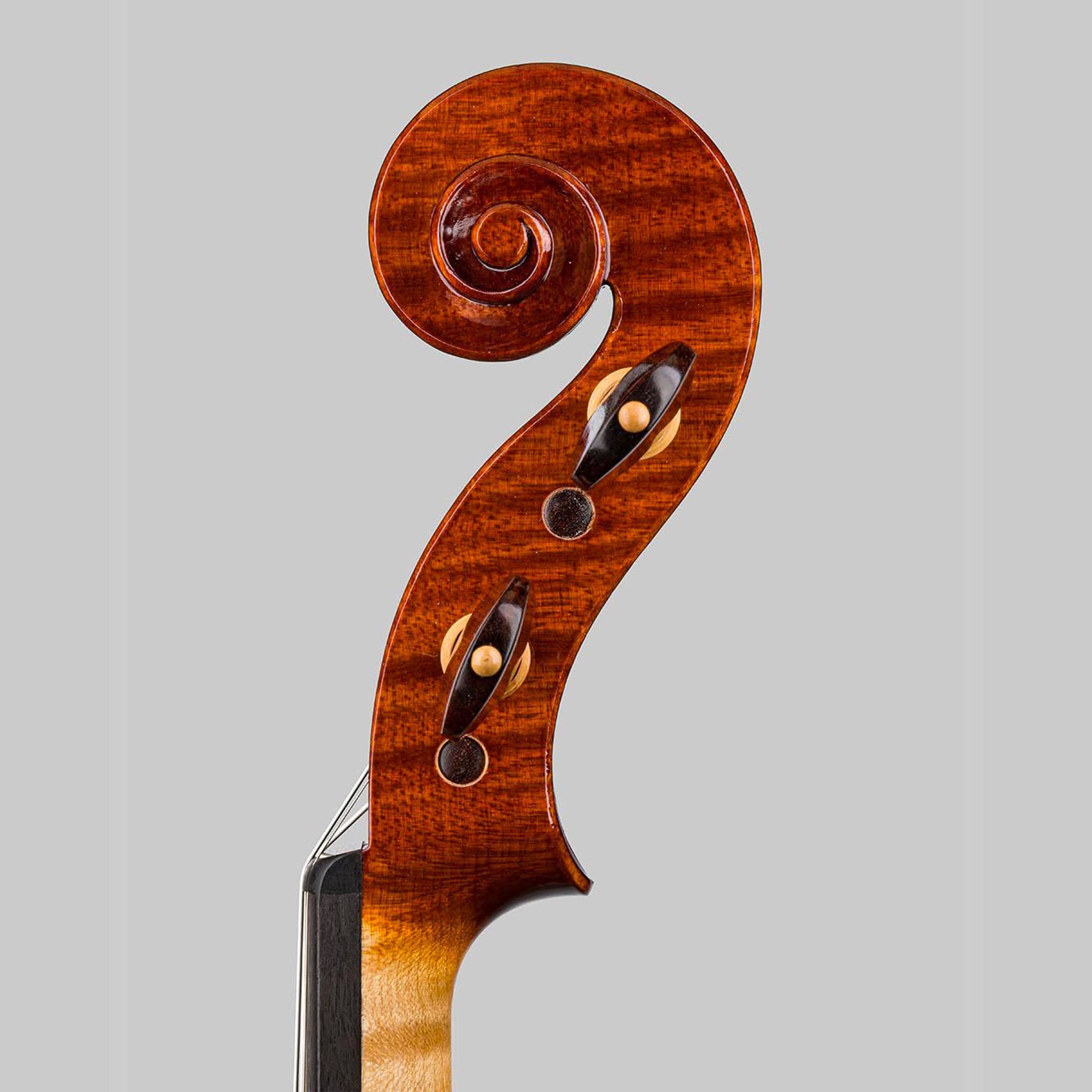 Marco Cargnelutti, Udine Italy 2026, 'Perseus' Violin