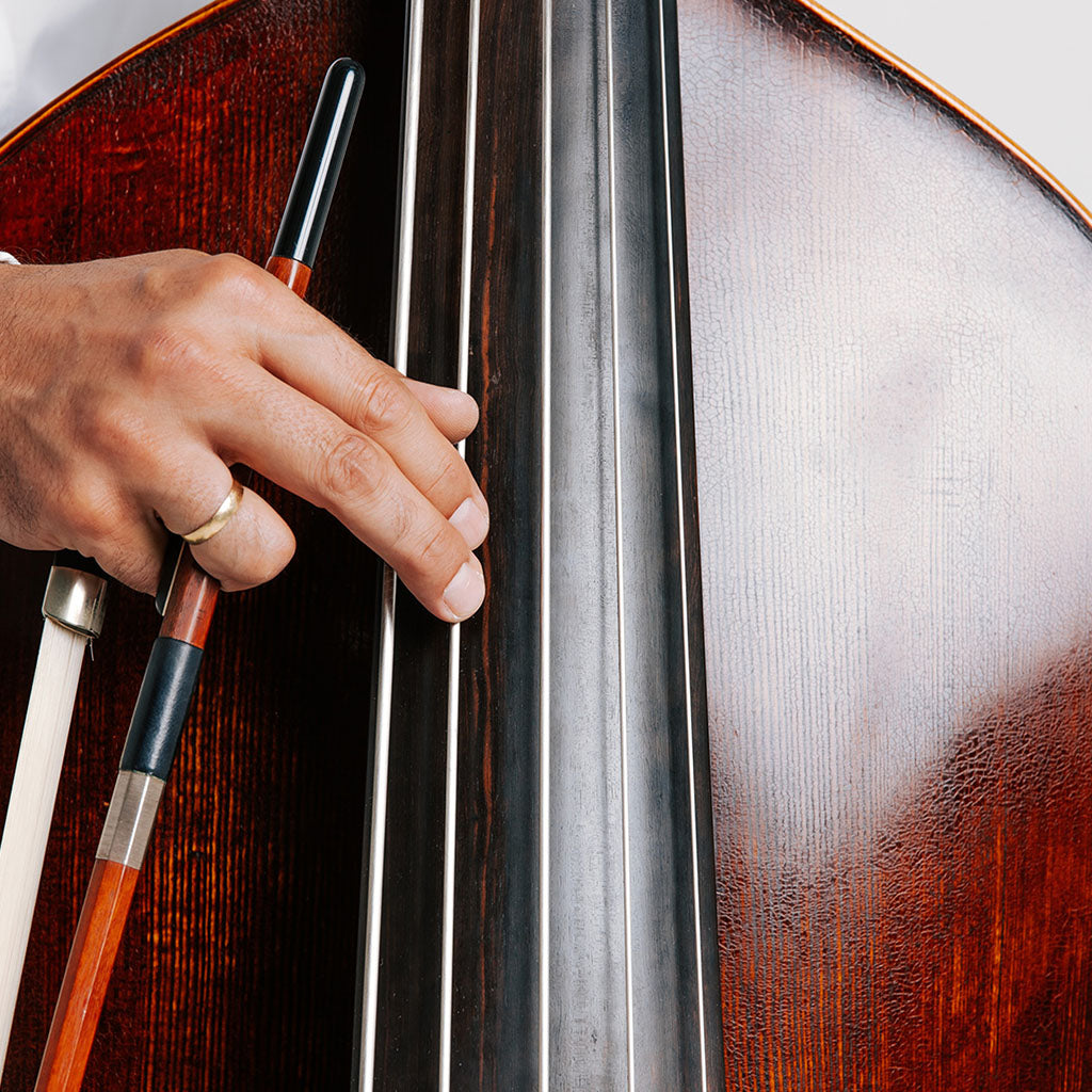 Thomastik Peter Infeld Bass String Set