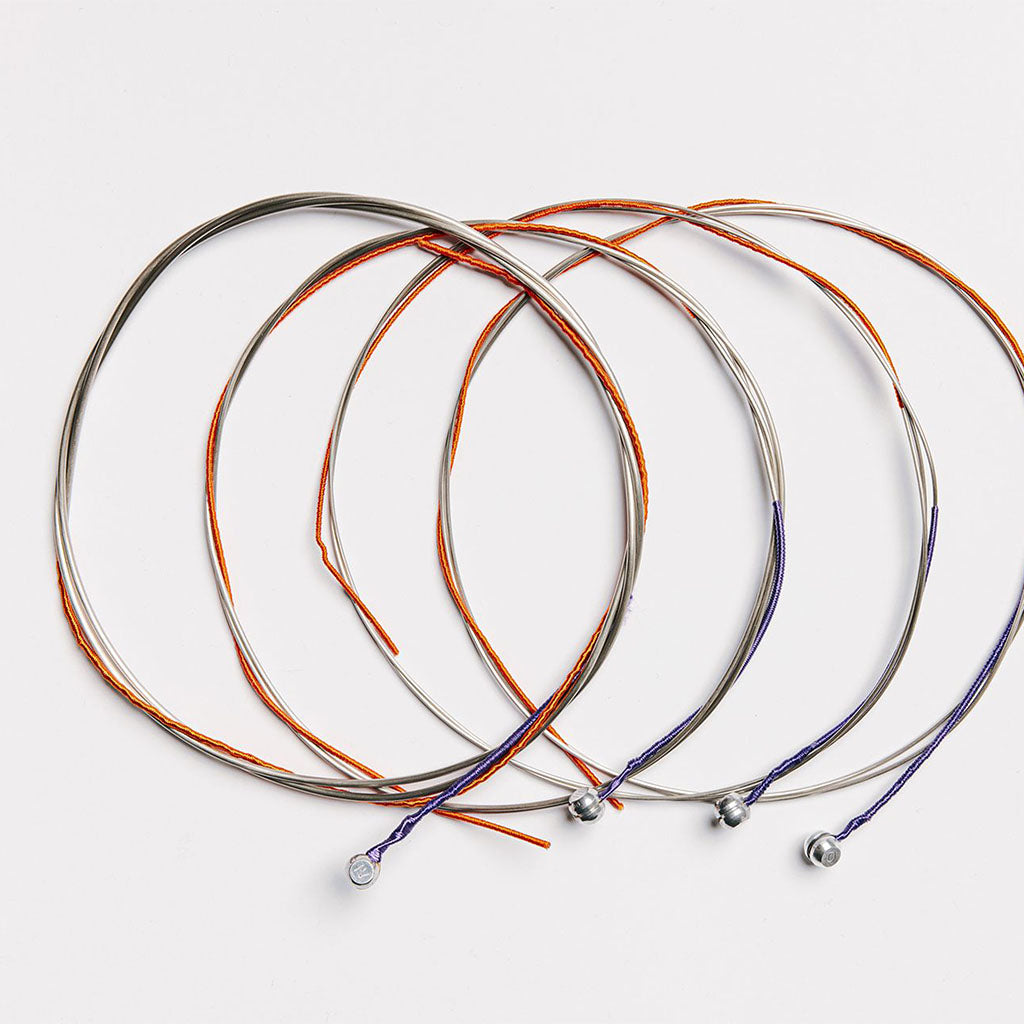 Thomastik Peter Infeld Bass String Set