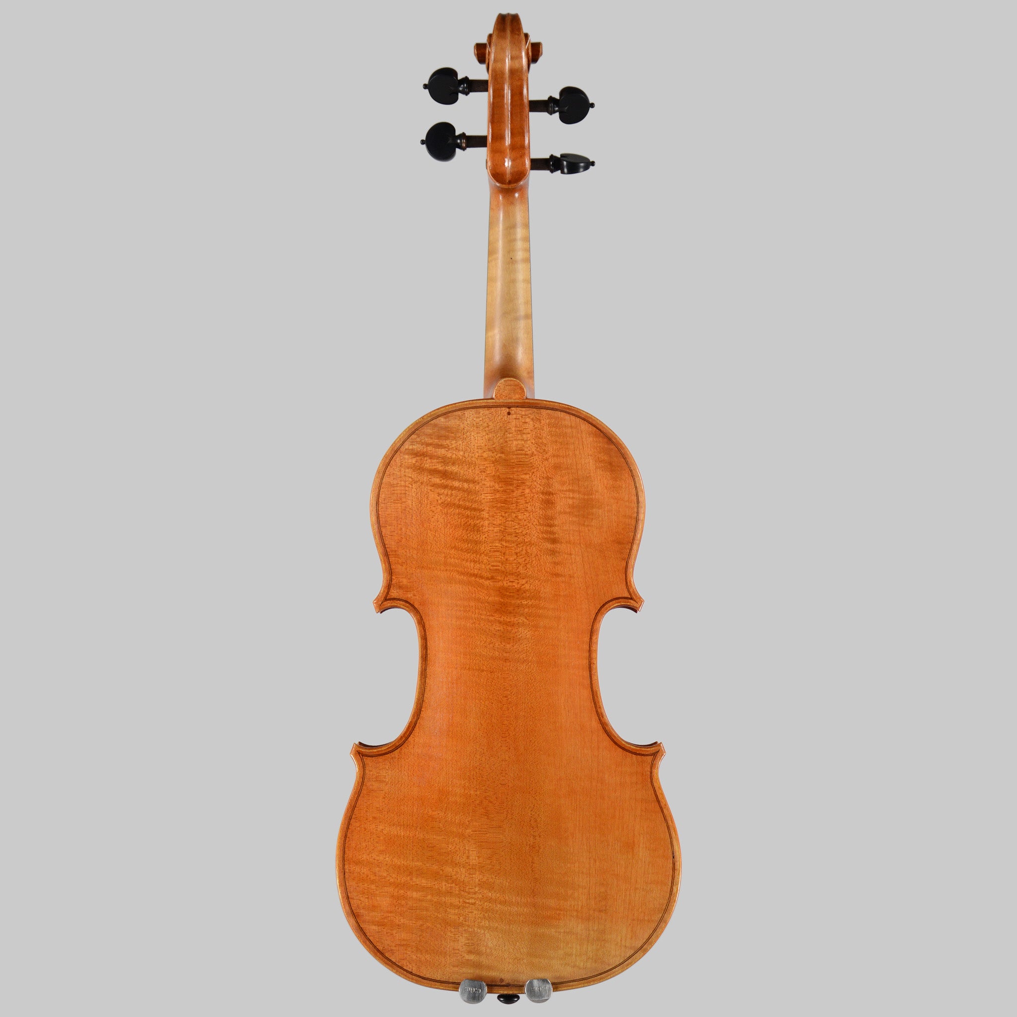 Francesco Pierotti, Cesena 2026, 'Medici' Stradivari Violin