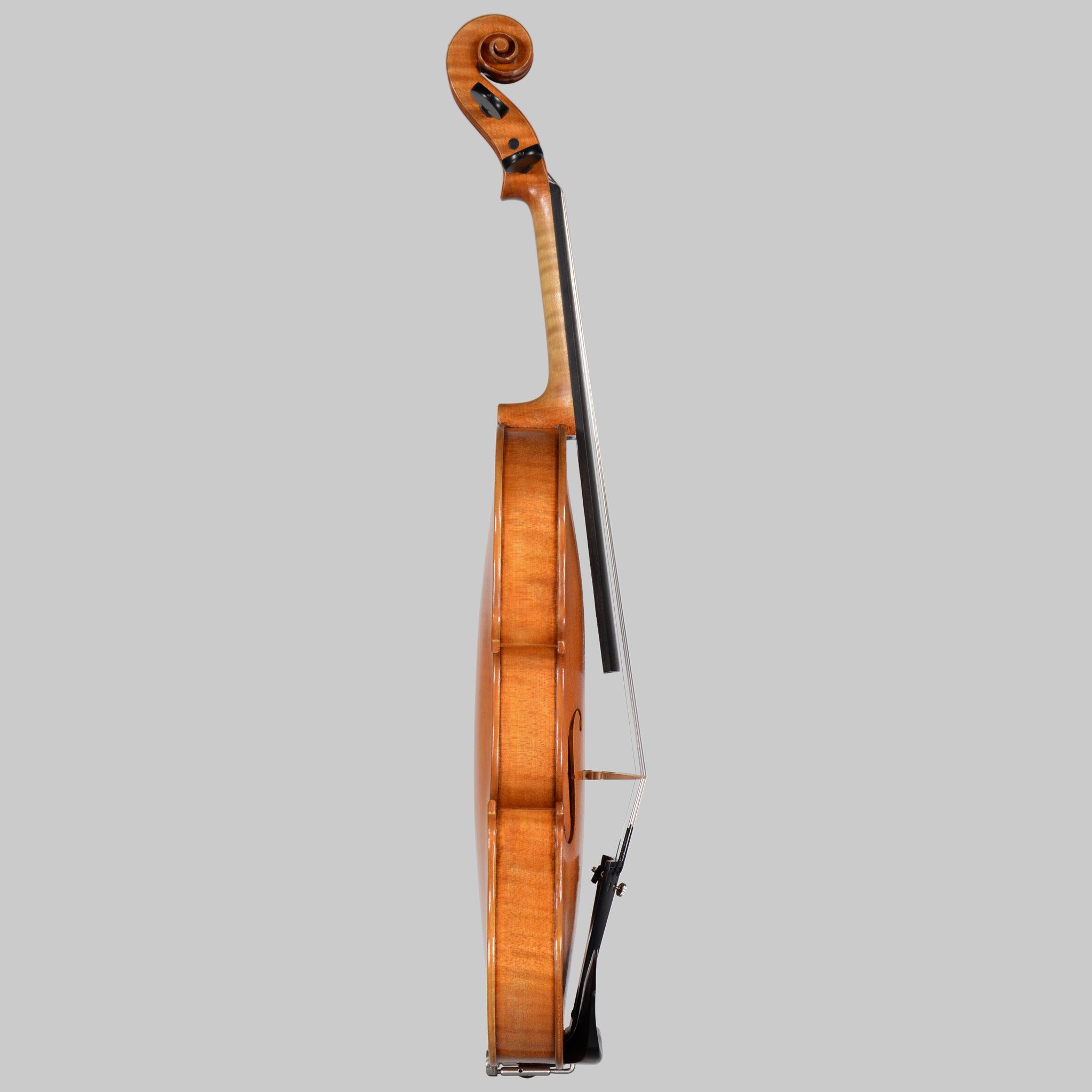Francesco Pierotti, Cesena 2026, 'Medici' Stradivari Violin
