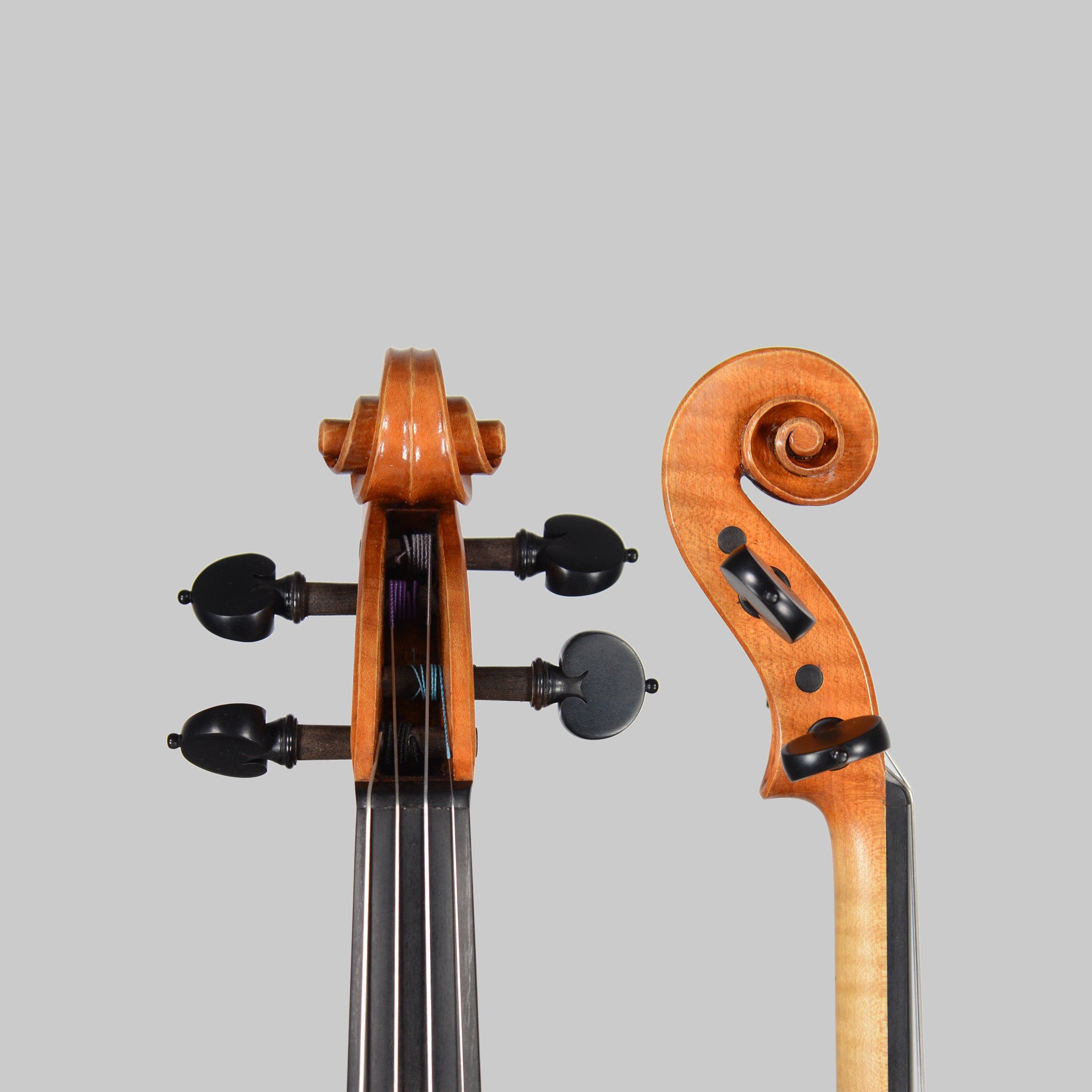 Francesco Pierotti, Cesena 2026, 'Medici' Stradivari Violin