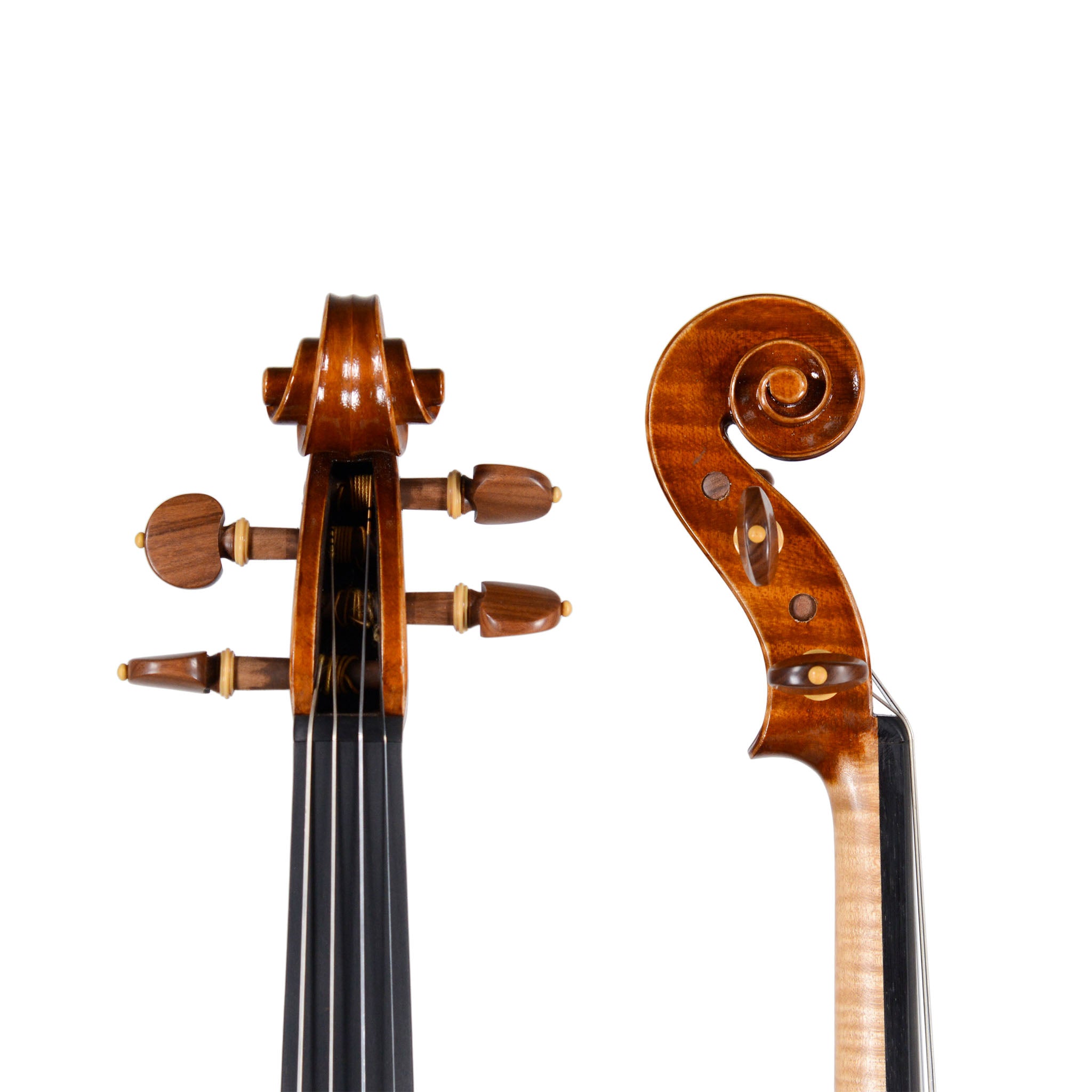 #Select A Violin_FS543