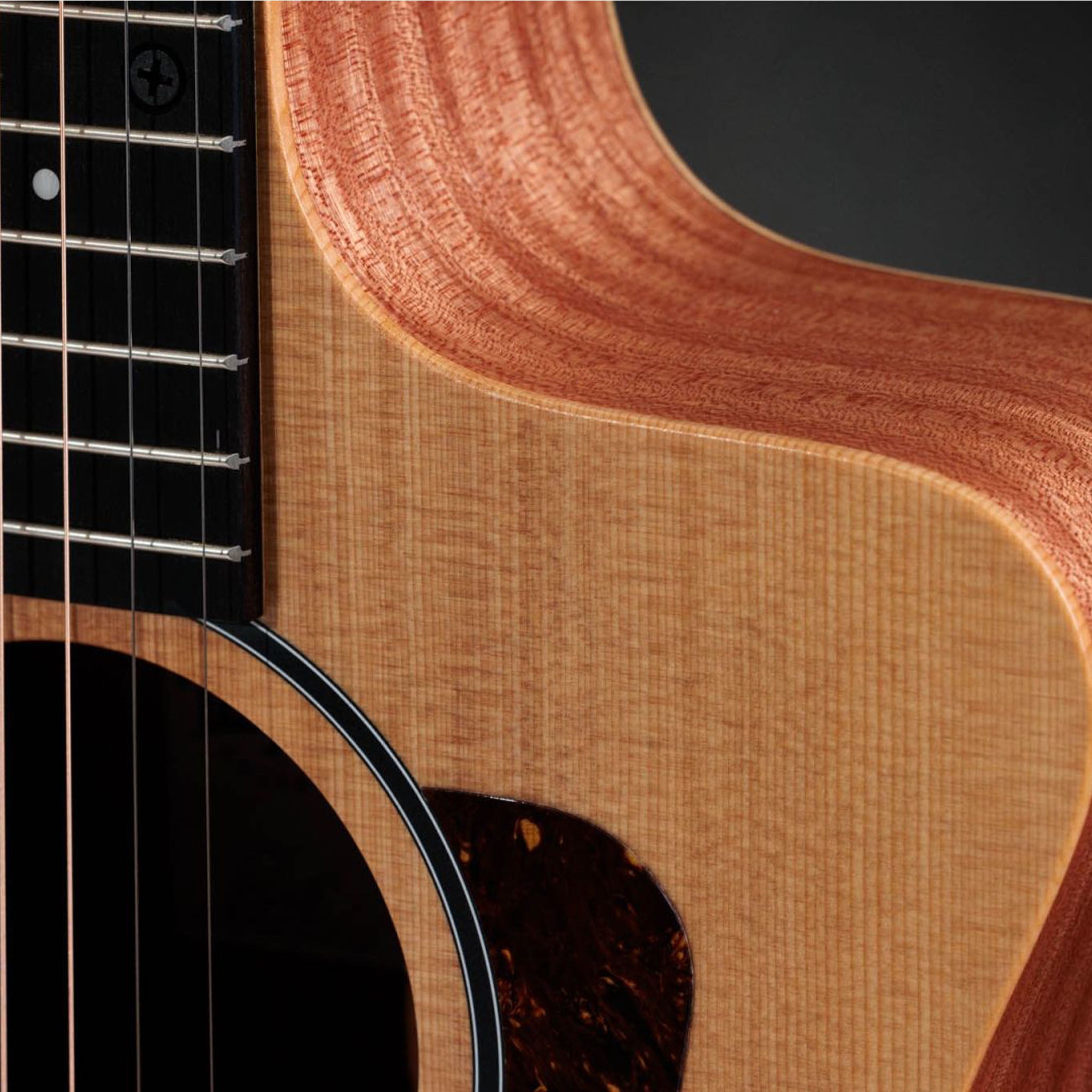 Taylor 14ce Sapele Acoustic-Electric Guitar