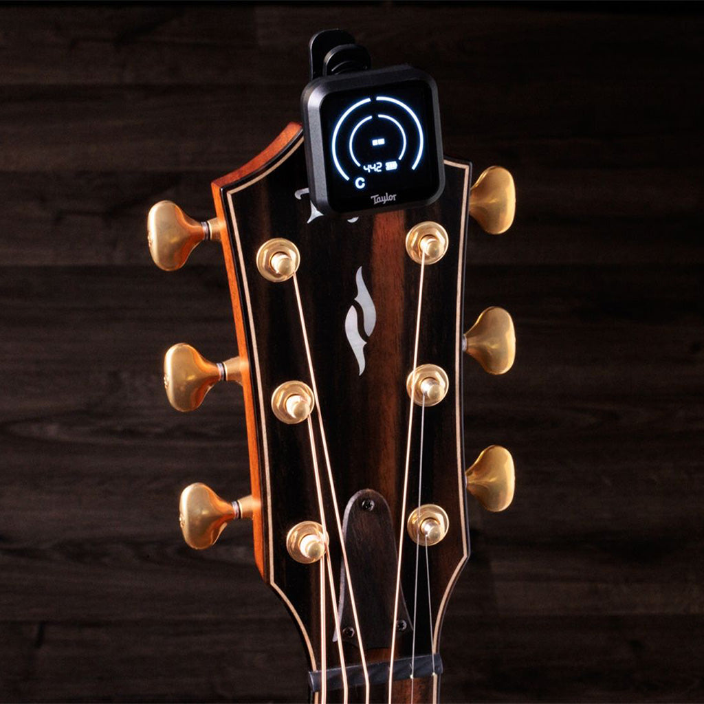 Taylor Digital Tuner