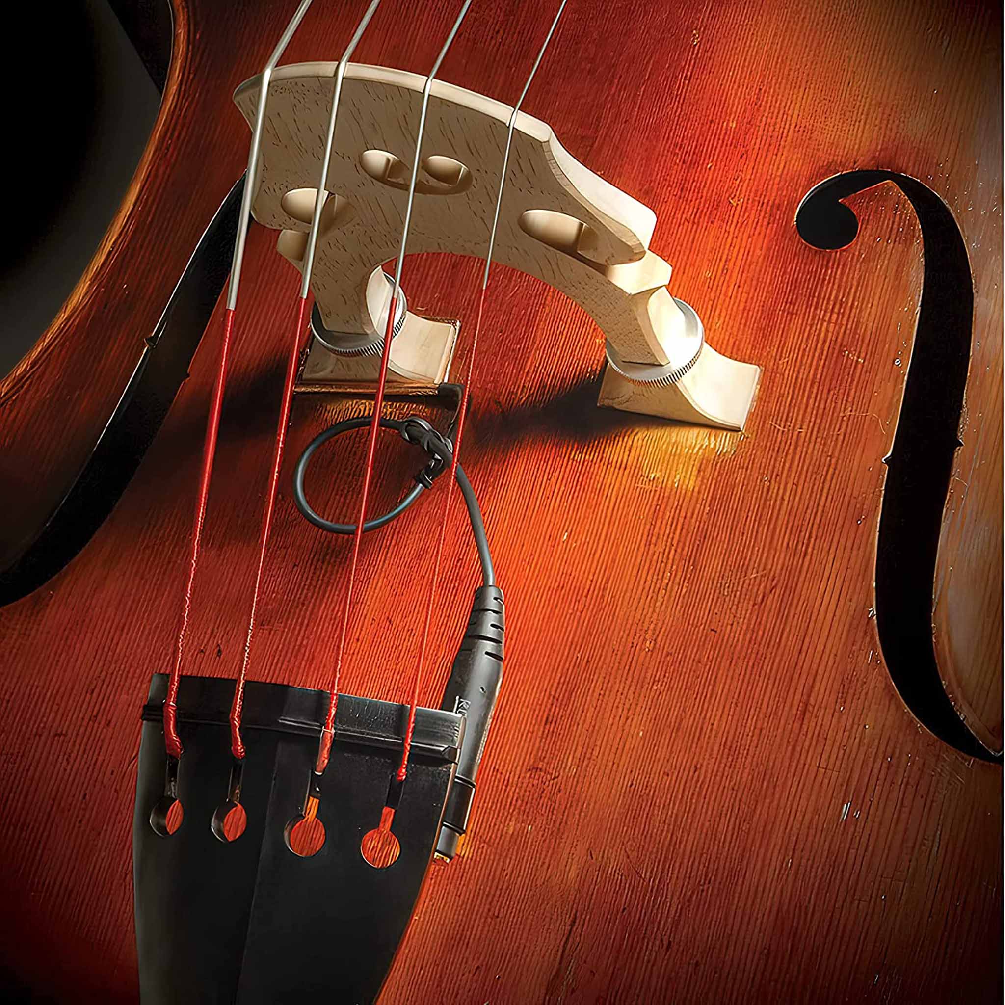 Realist Copperhead Bass Pickup