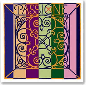 Passione Violin G Gu/Sil