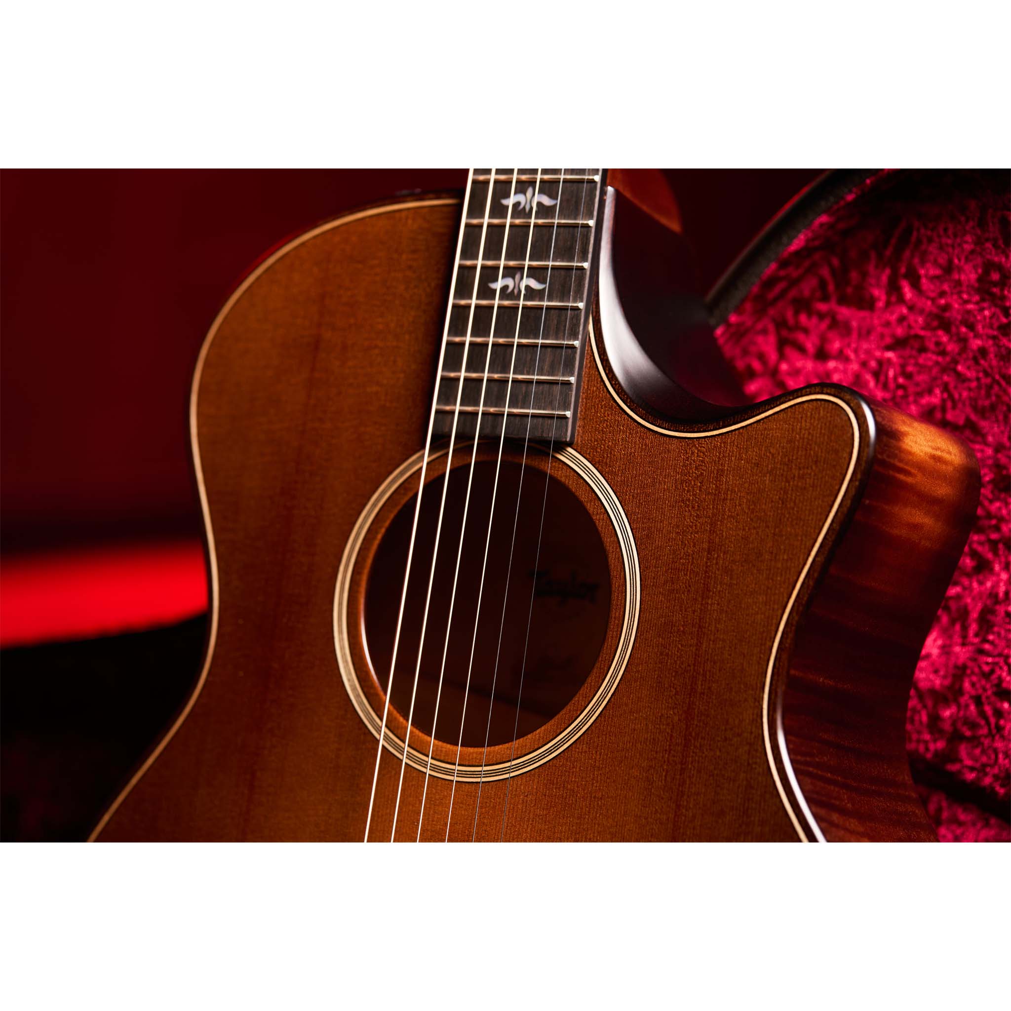 Taylor Builder's Edition 614ce WHB Maple Acoustic-Electric Guitar