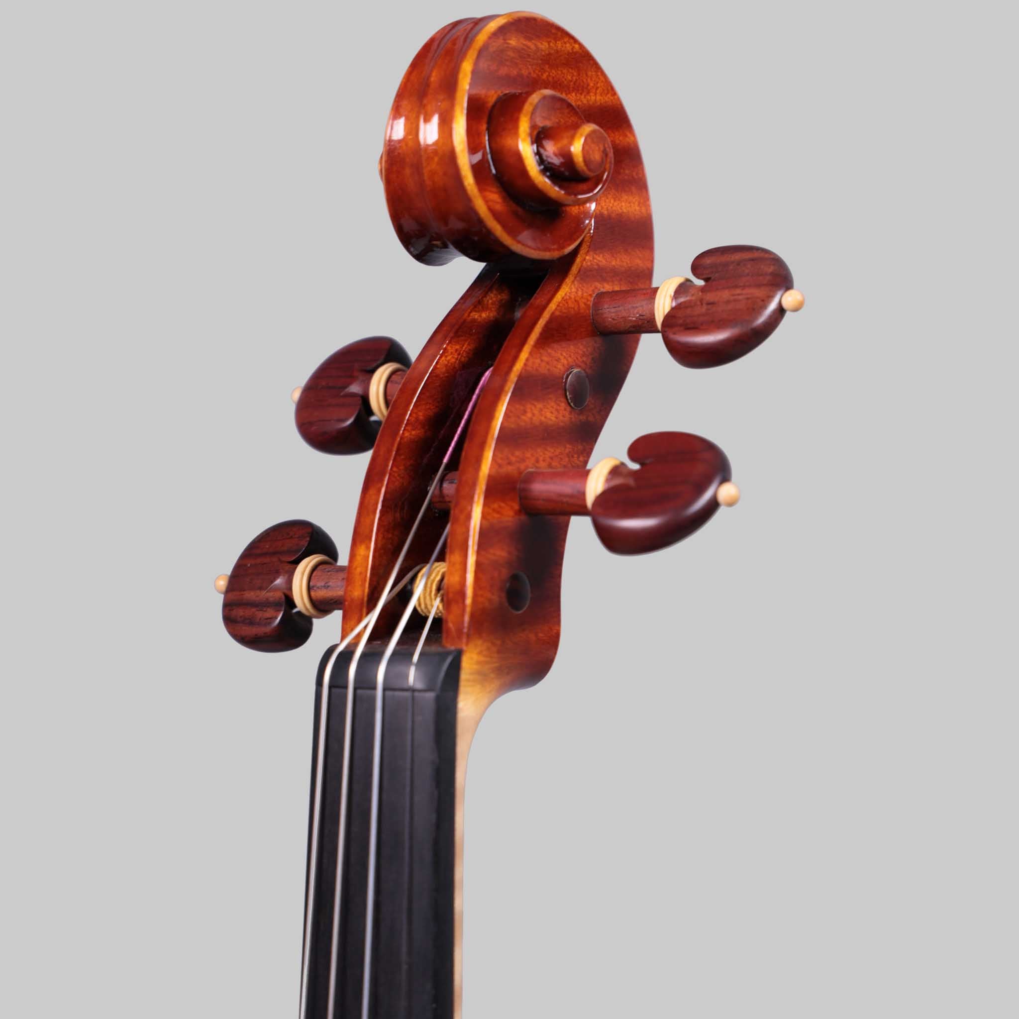 Marco Cargnelutti, Udine "Il Toscano" 2021 Violin