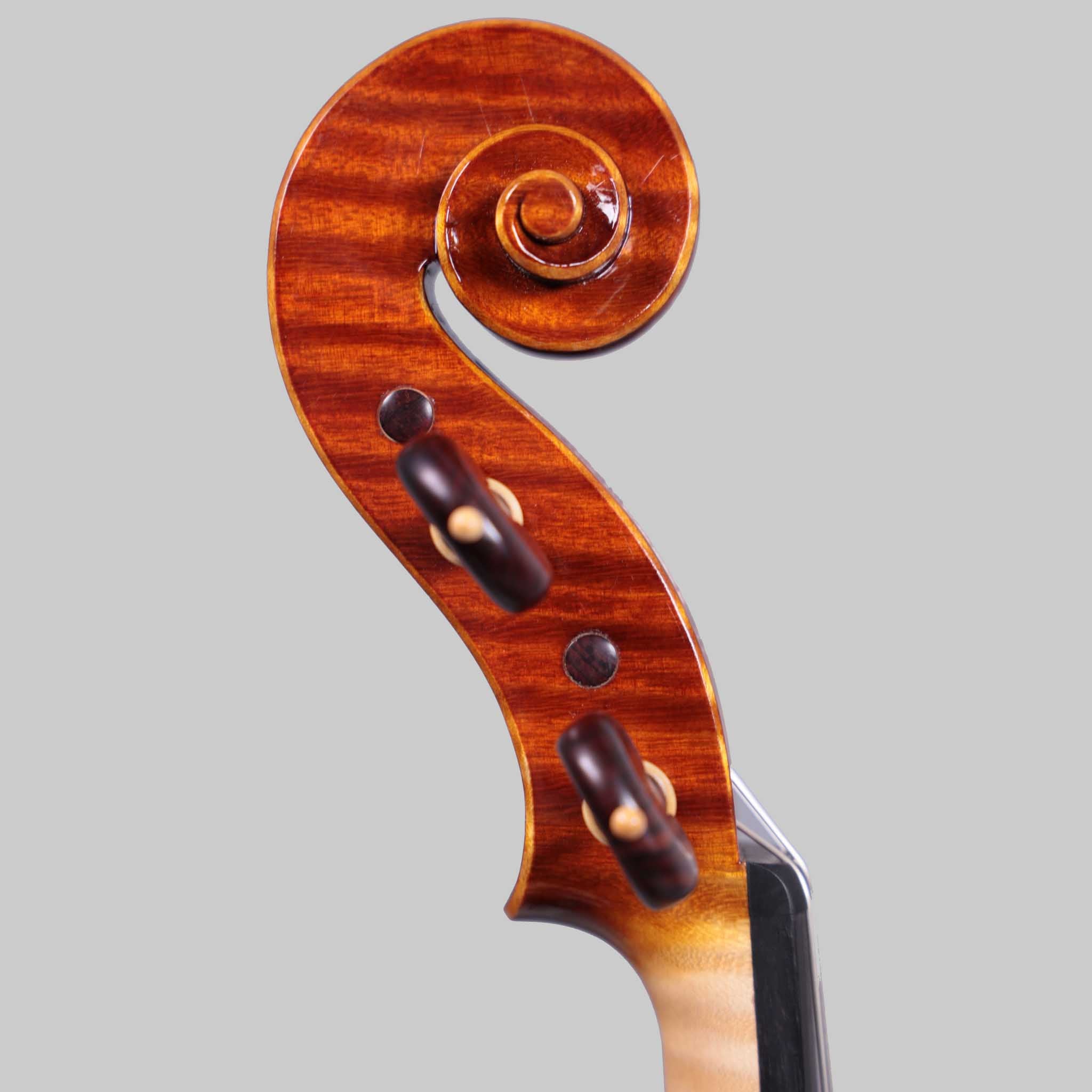 Marco Cargnelutti, Udine "Il Toscano" 2021 Violin