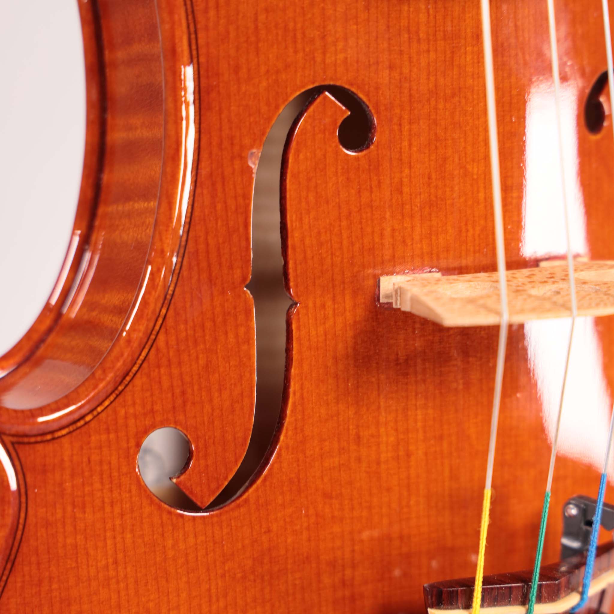 Marco Cargnelutti "Il Toscano" 2020 Violin
