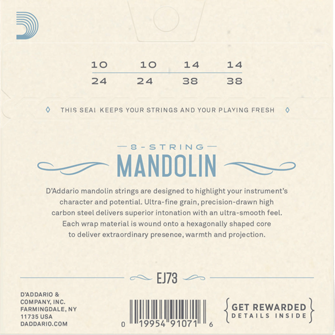 D'Addario EJ73 Phosphor Bronze Mandolin String Set, Light