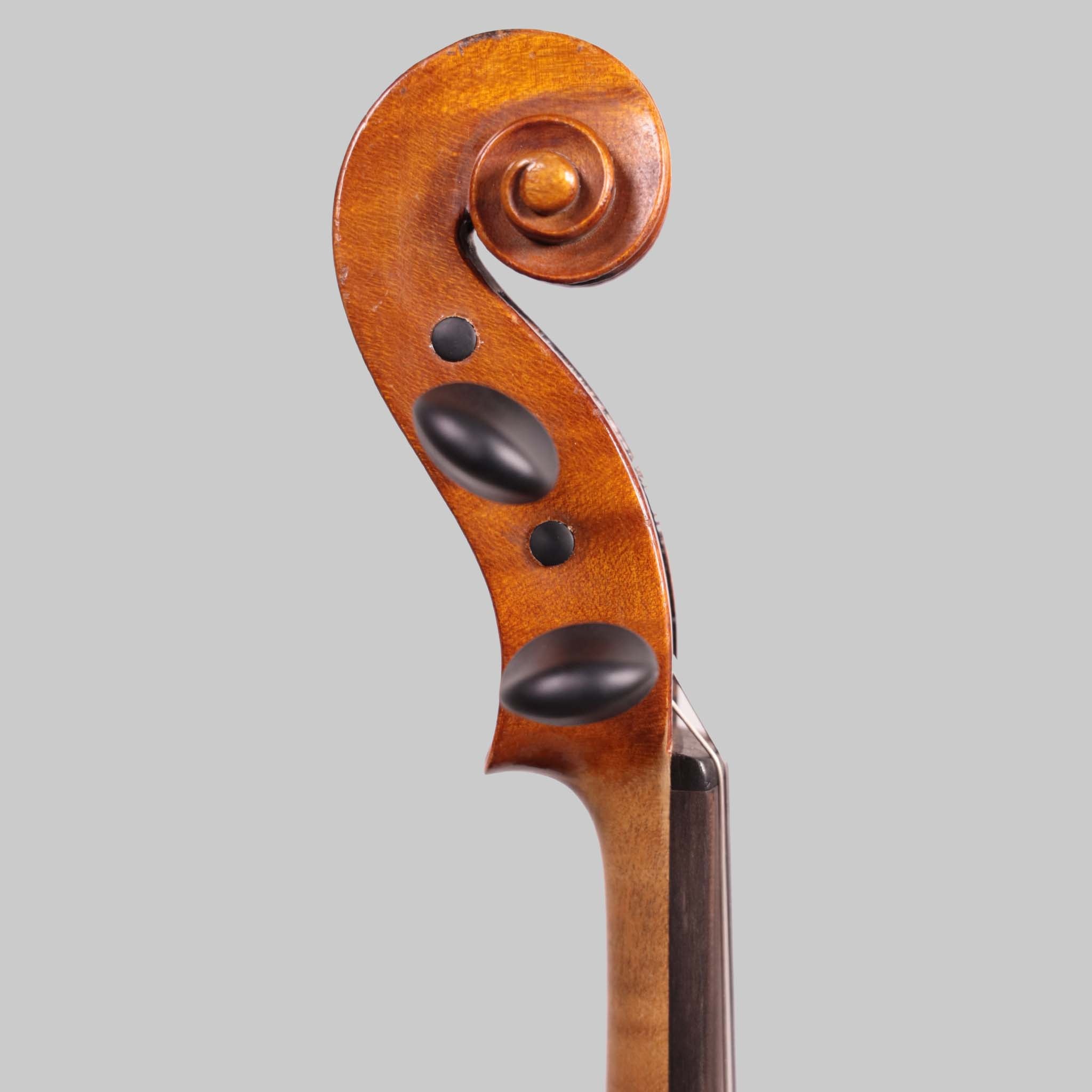 Eduard Reichart, Dresden Germany 1910 Violin (FS284)