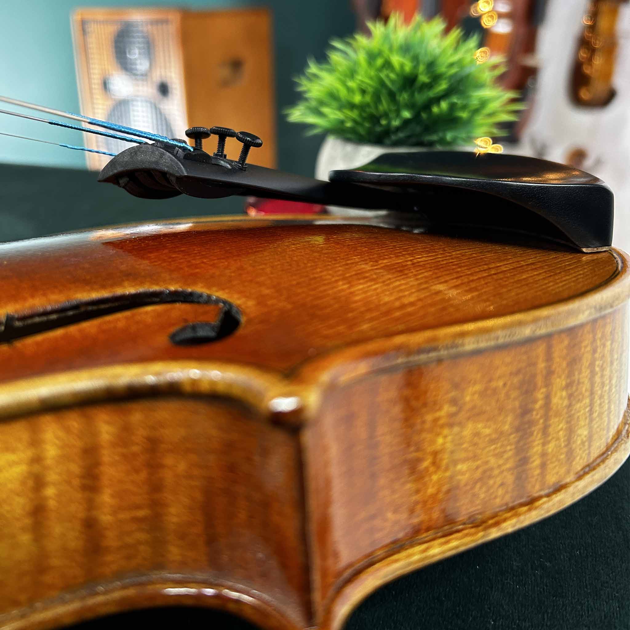 English Model Violin Chinrest