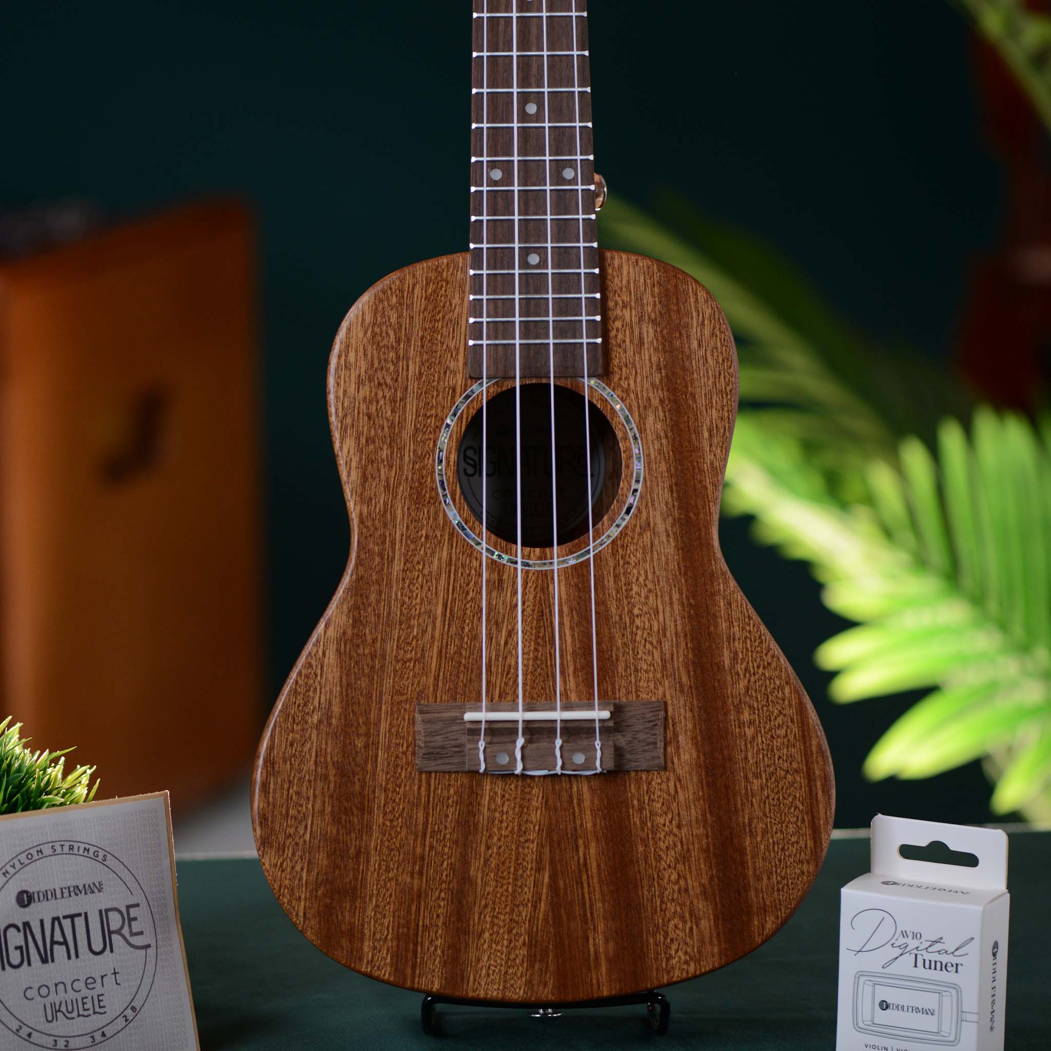 Fiddlerman Signature Concert Ukulele Outfit