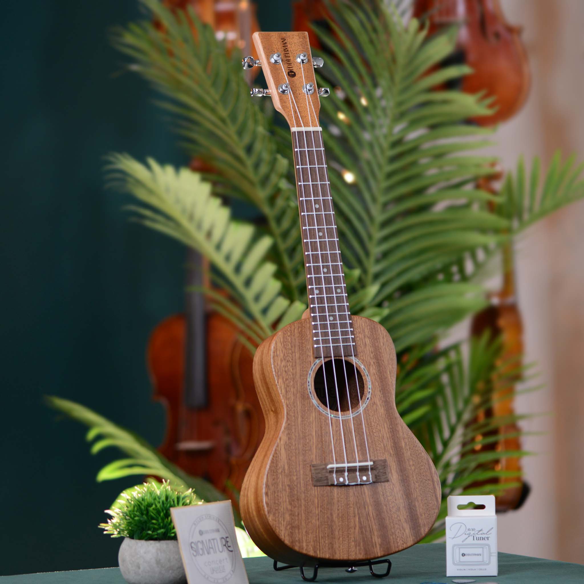 Fiddlerman Signature Concert Ukulele Outfit