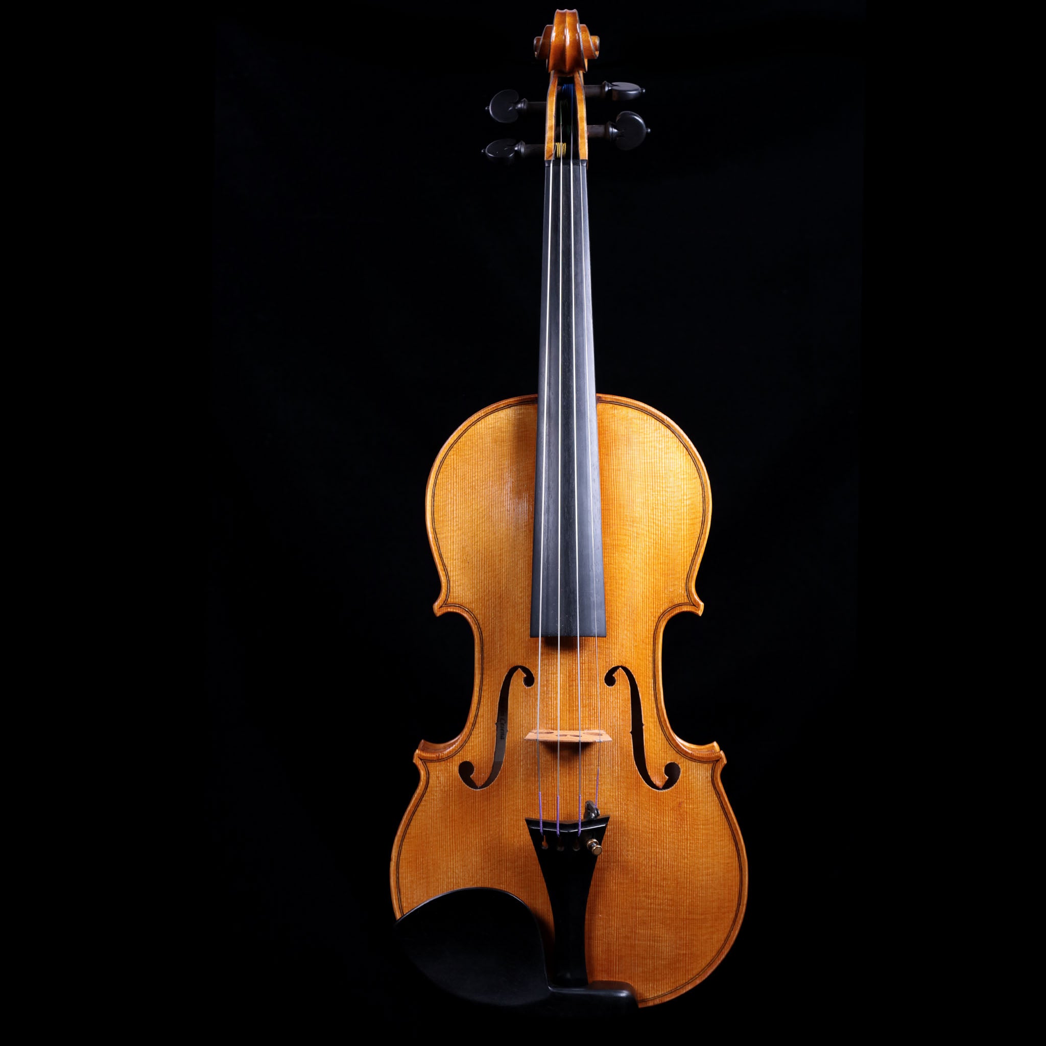 Francesco Pierotti, Cesena Italy, Violin 2020