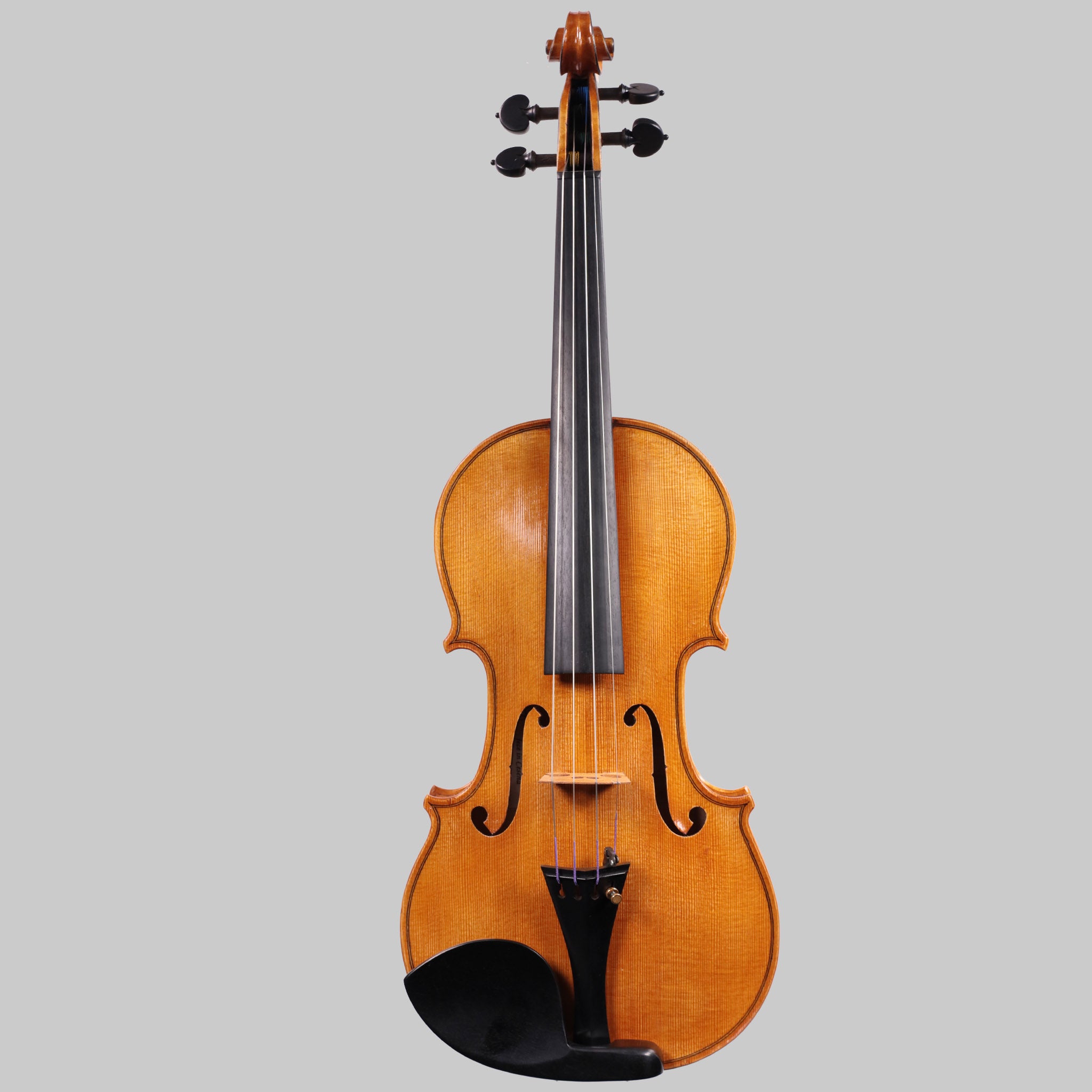 Francesco Pierotti, Cesena Italy, Violin 2020