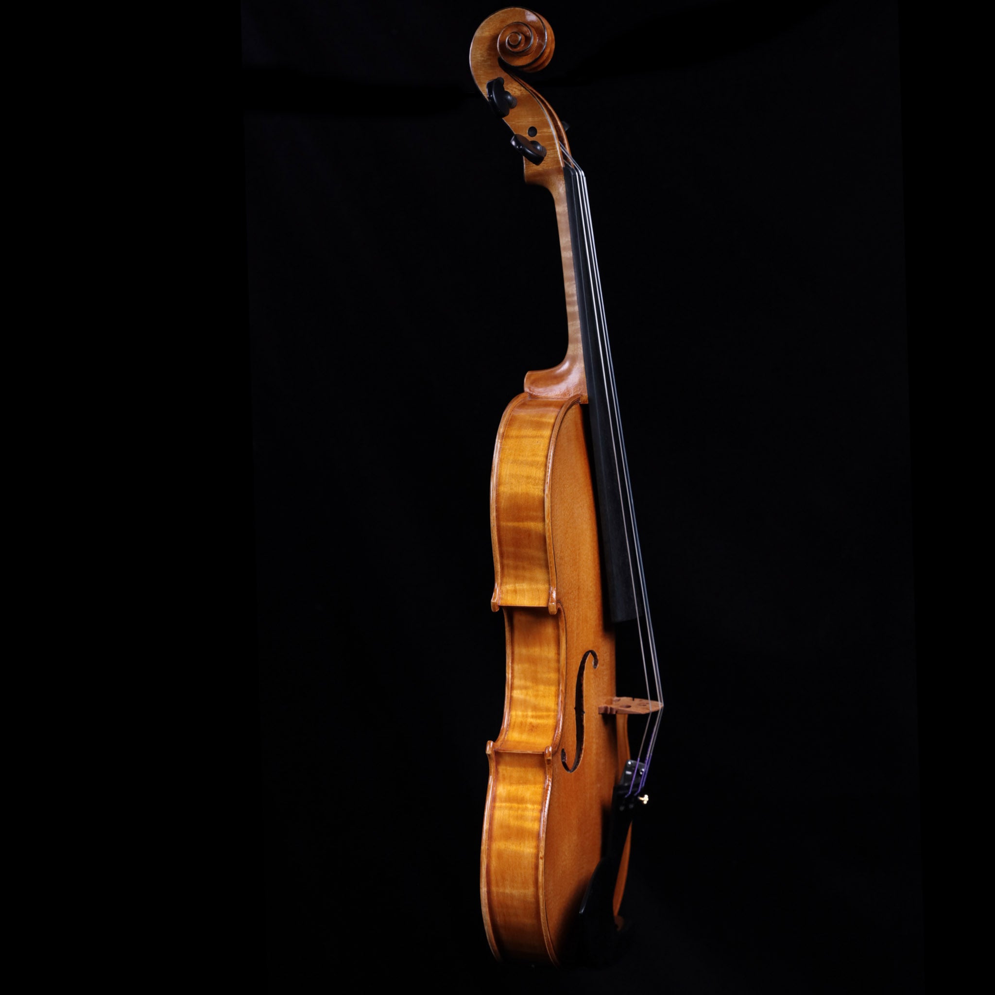 Francesco Pierotti, Cesena Italy, Violin 2020