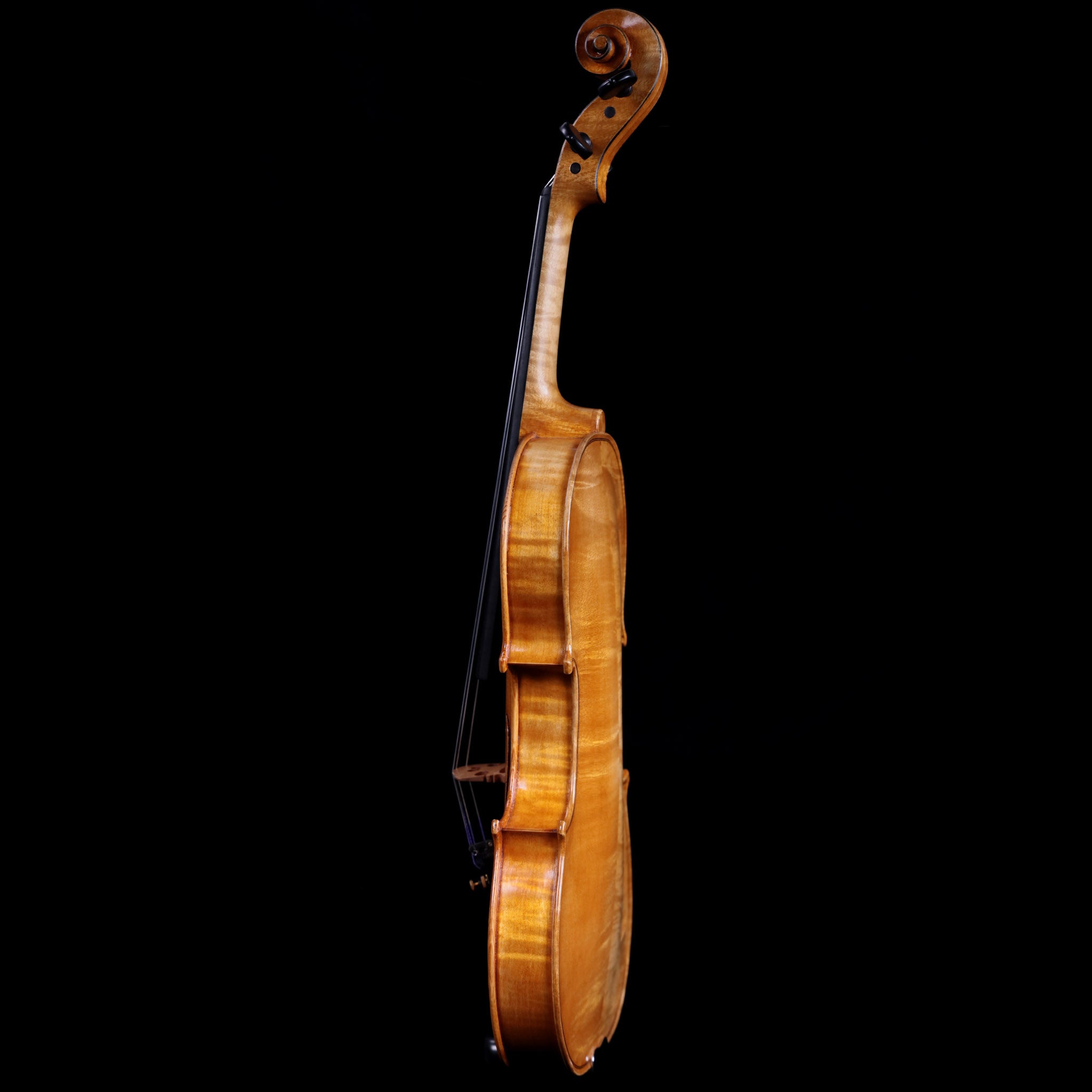 Francesco Pierotti, Cesena Italy, Violin 2020