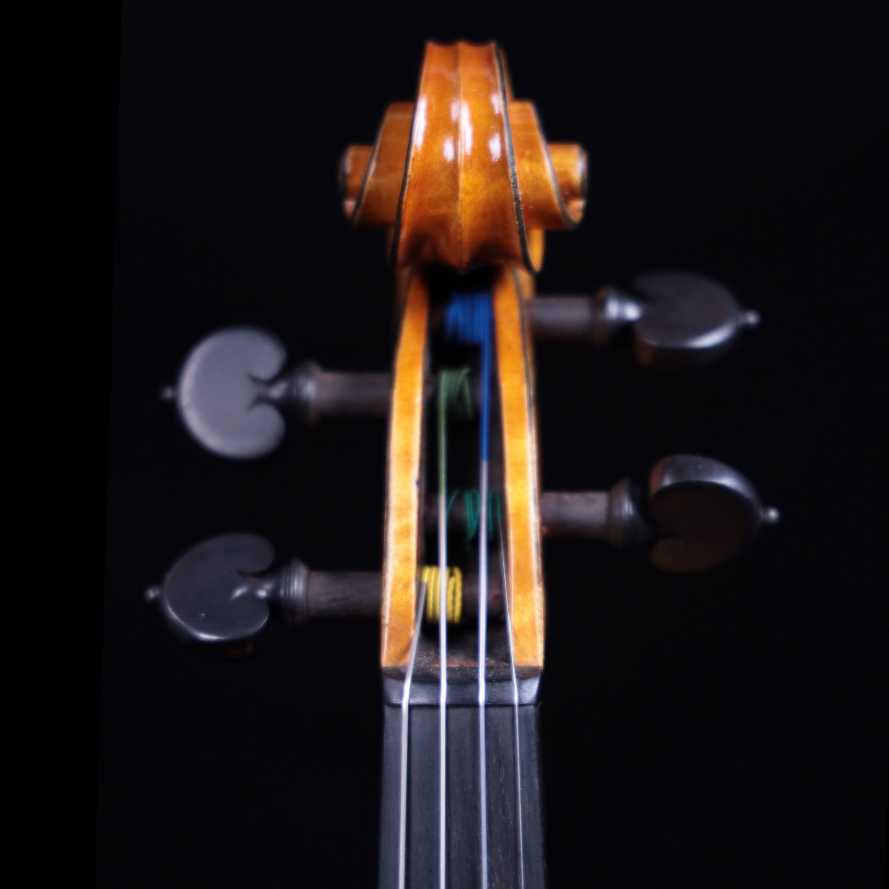 Francesco Pierotti, Cesena Italy, Violin 2020