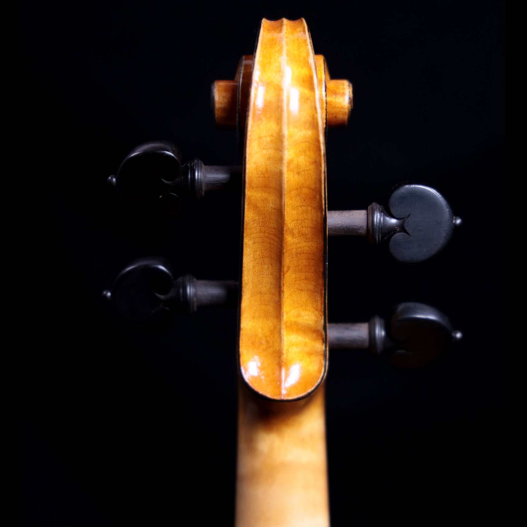 Francesco Pierotti, Cesena Italy, Violin 2020