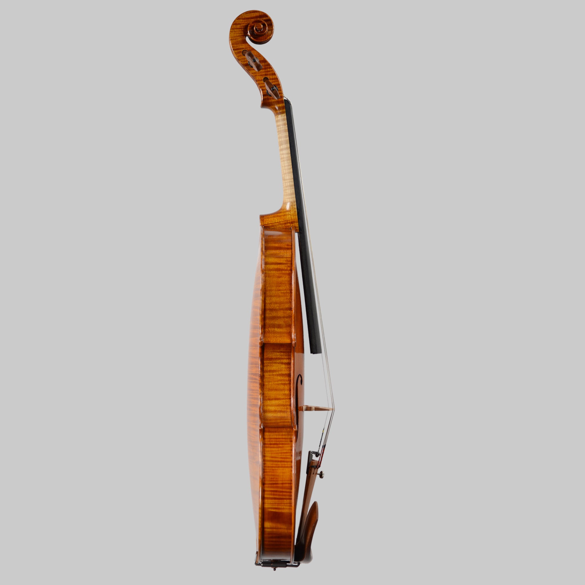 Francesco Pierotti Fine Italian Violin 2020