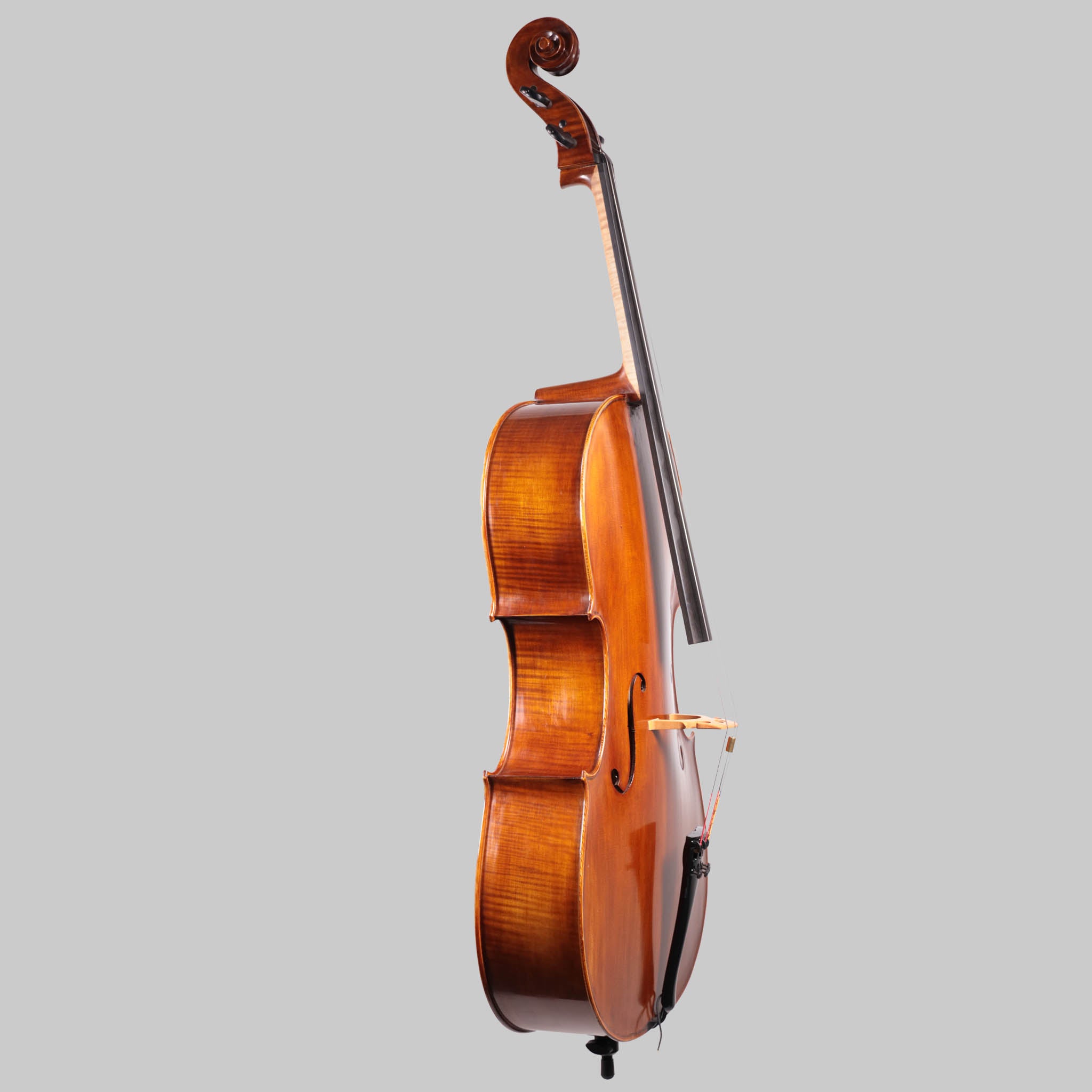 Holstein German Maestro Cello