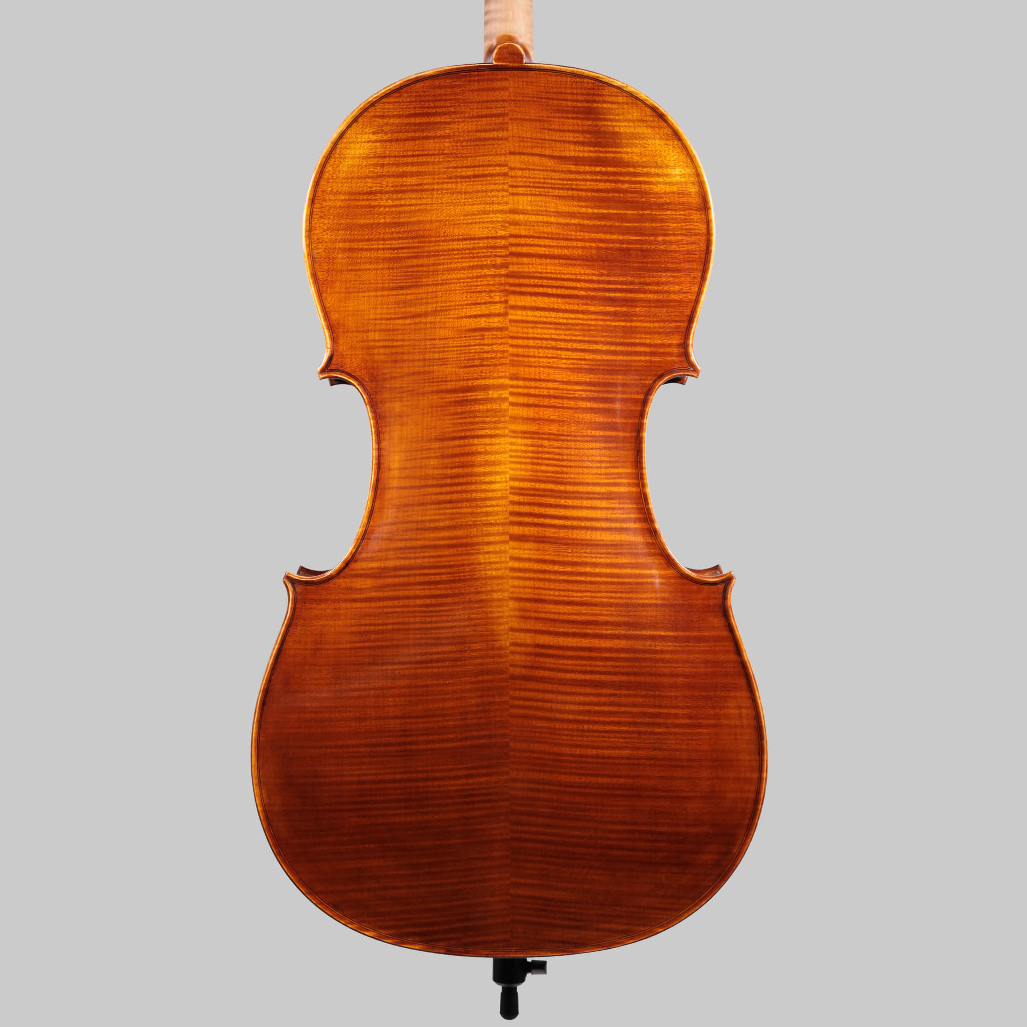 Holstein German Maestro Cello