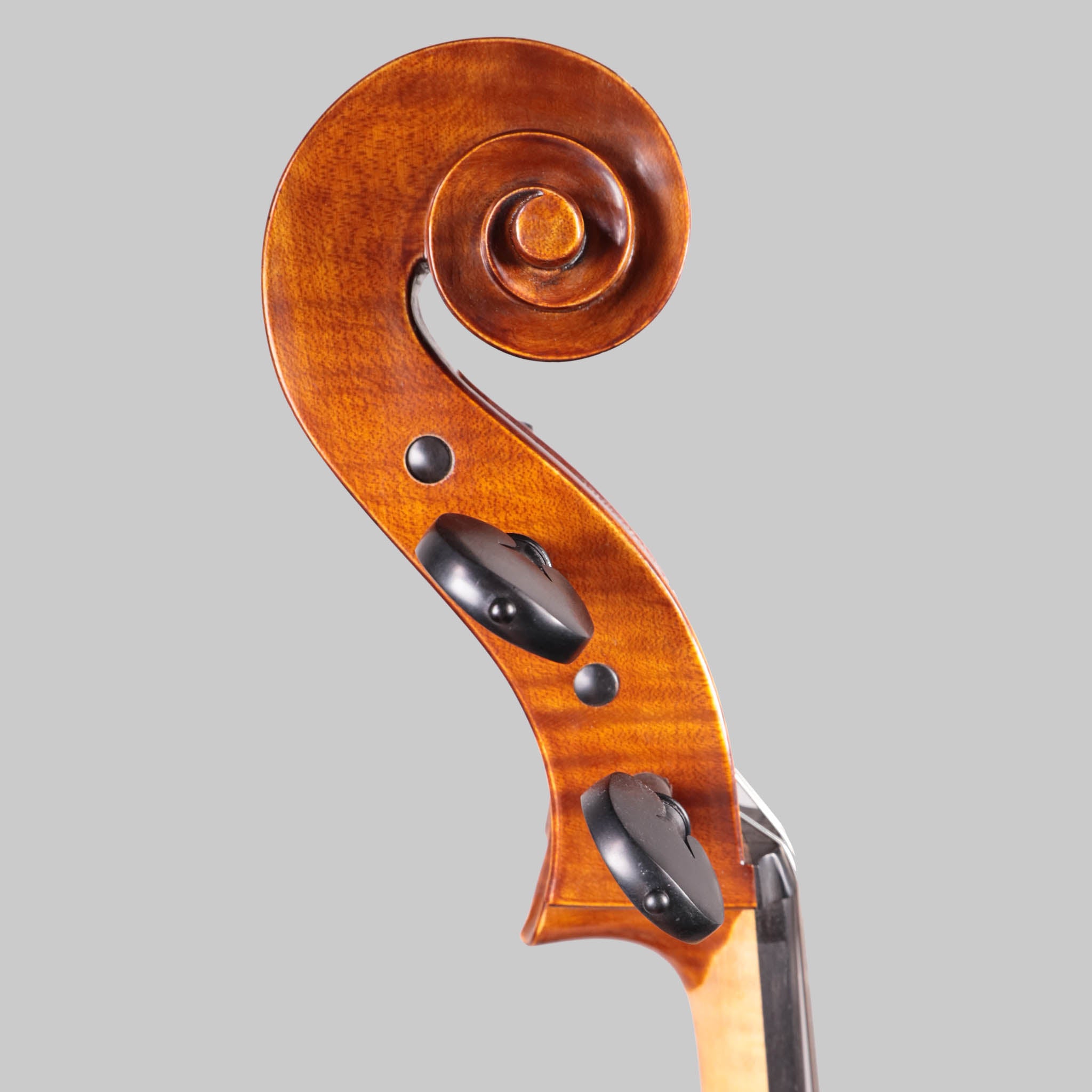 Holstein German Maestro Cello