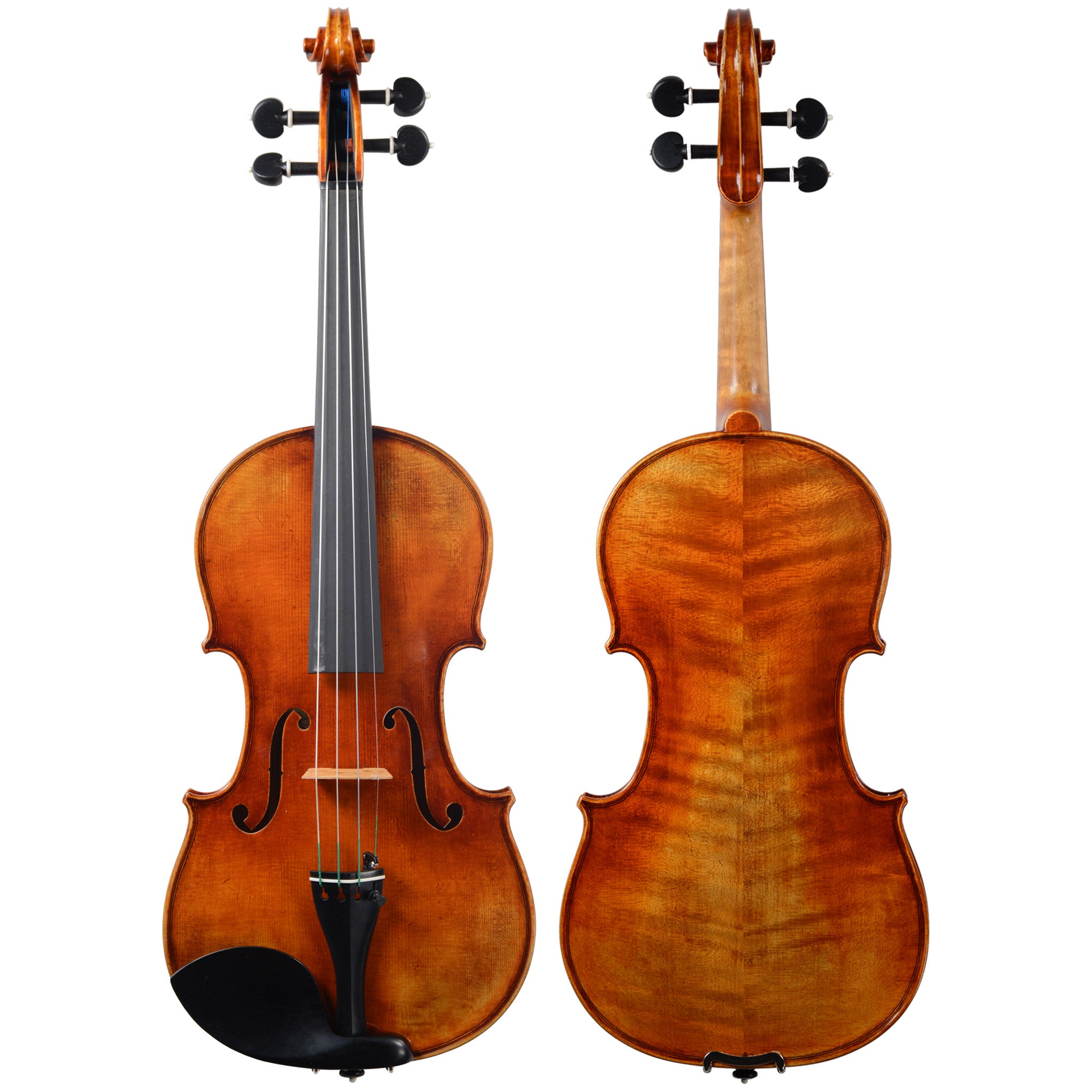 Holstein Workshop Soil Stradivarius Violin