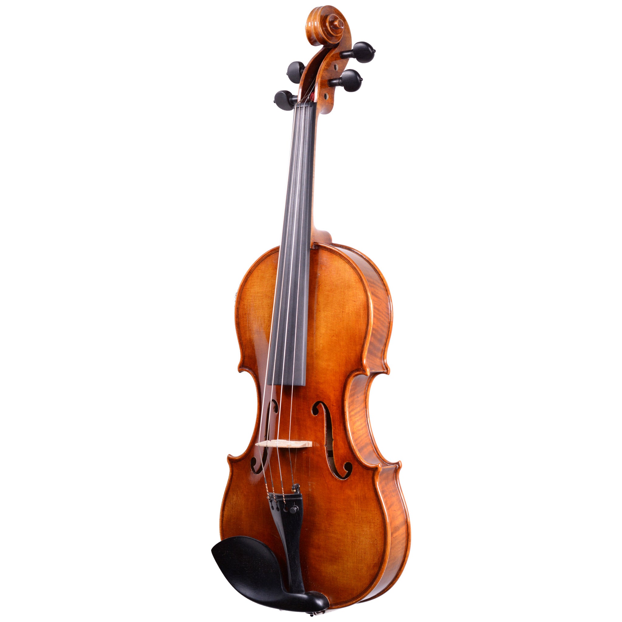 Holstein Traditional Cannone Violin