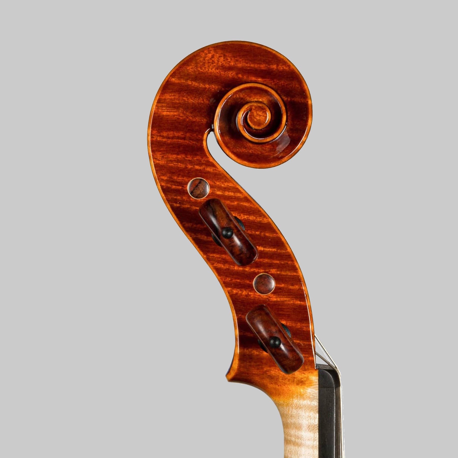 Marco Cargnelutti Il Toscano 2020 Violin