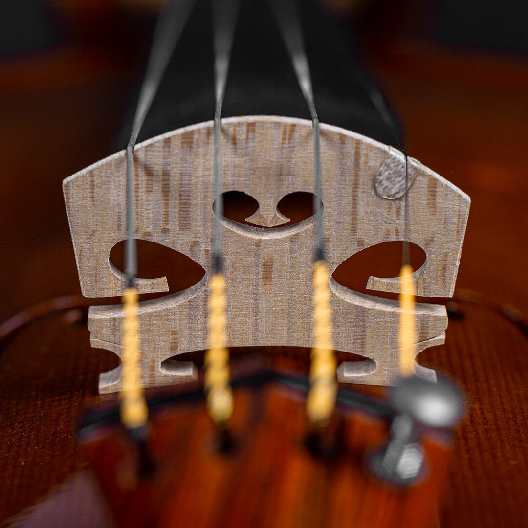 Marco Cargnelutti Il Cremonese 2020 Violin