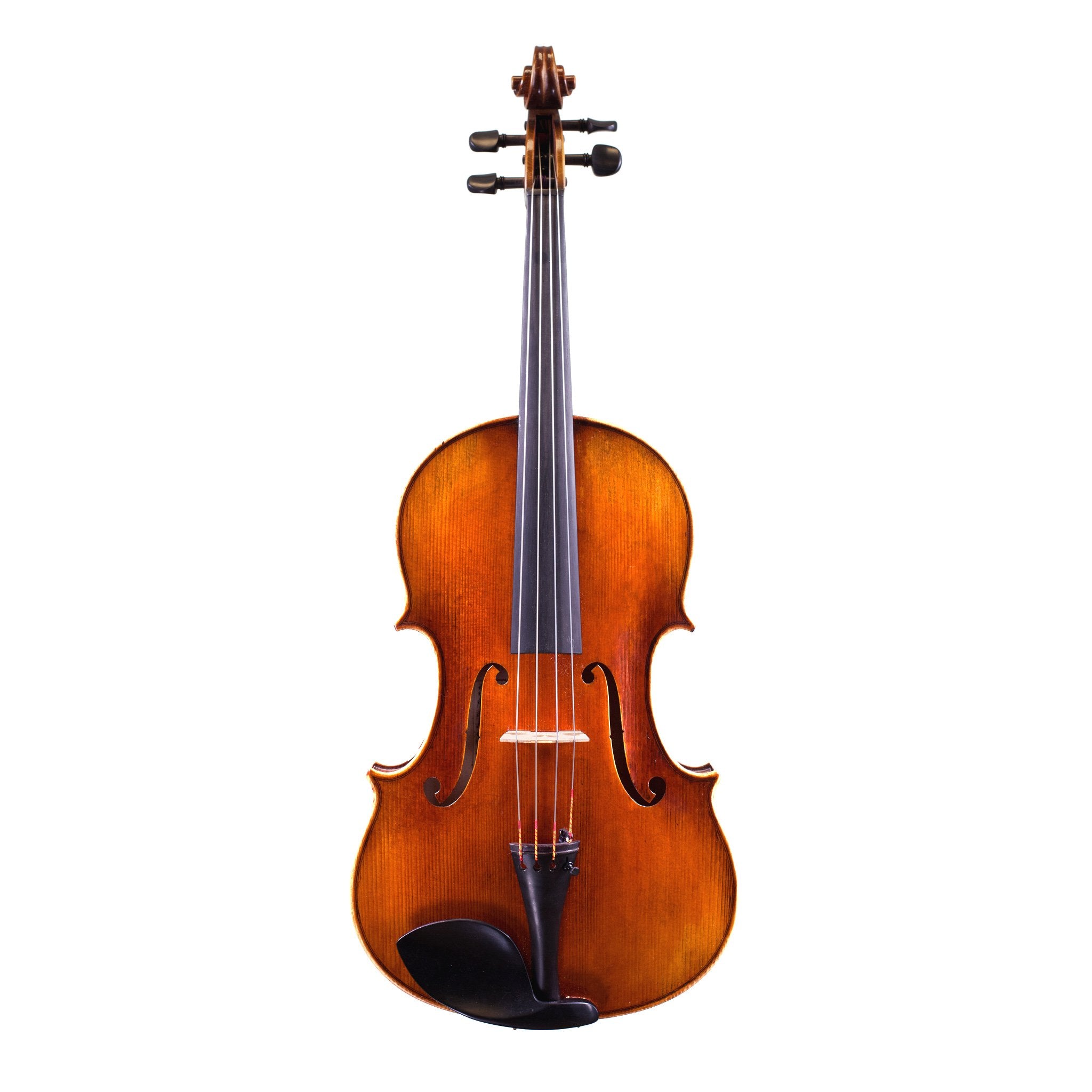 Pre-owned Holstein Traditional Panette Viola 16"