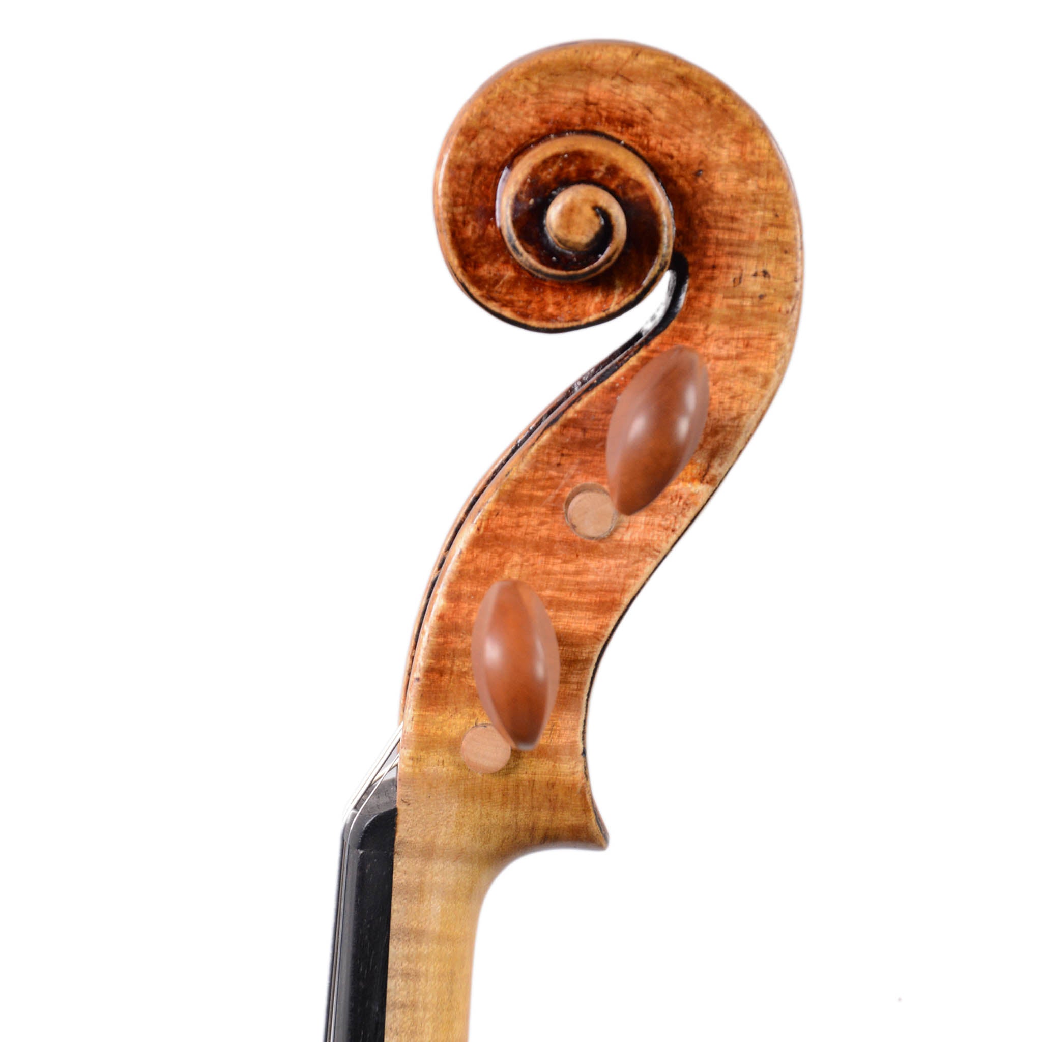 Francesco Pierotti 4/4 Fine Italian Violin 2019